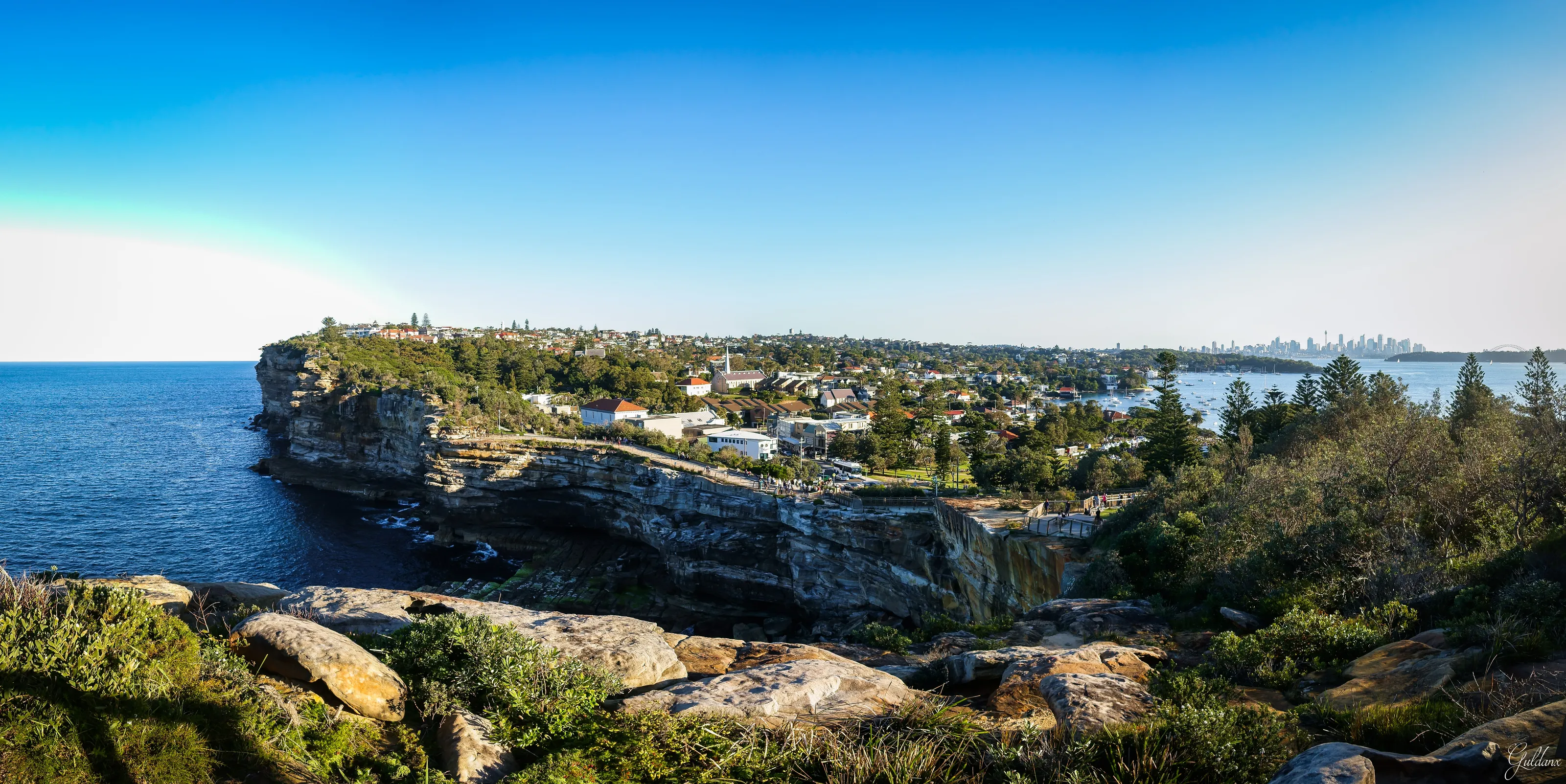 Urbanisation of the natural world