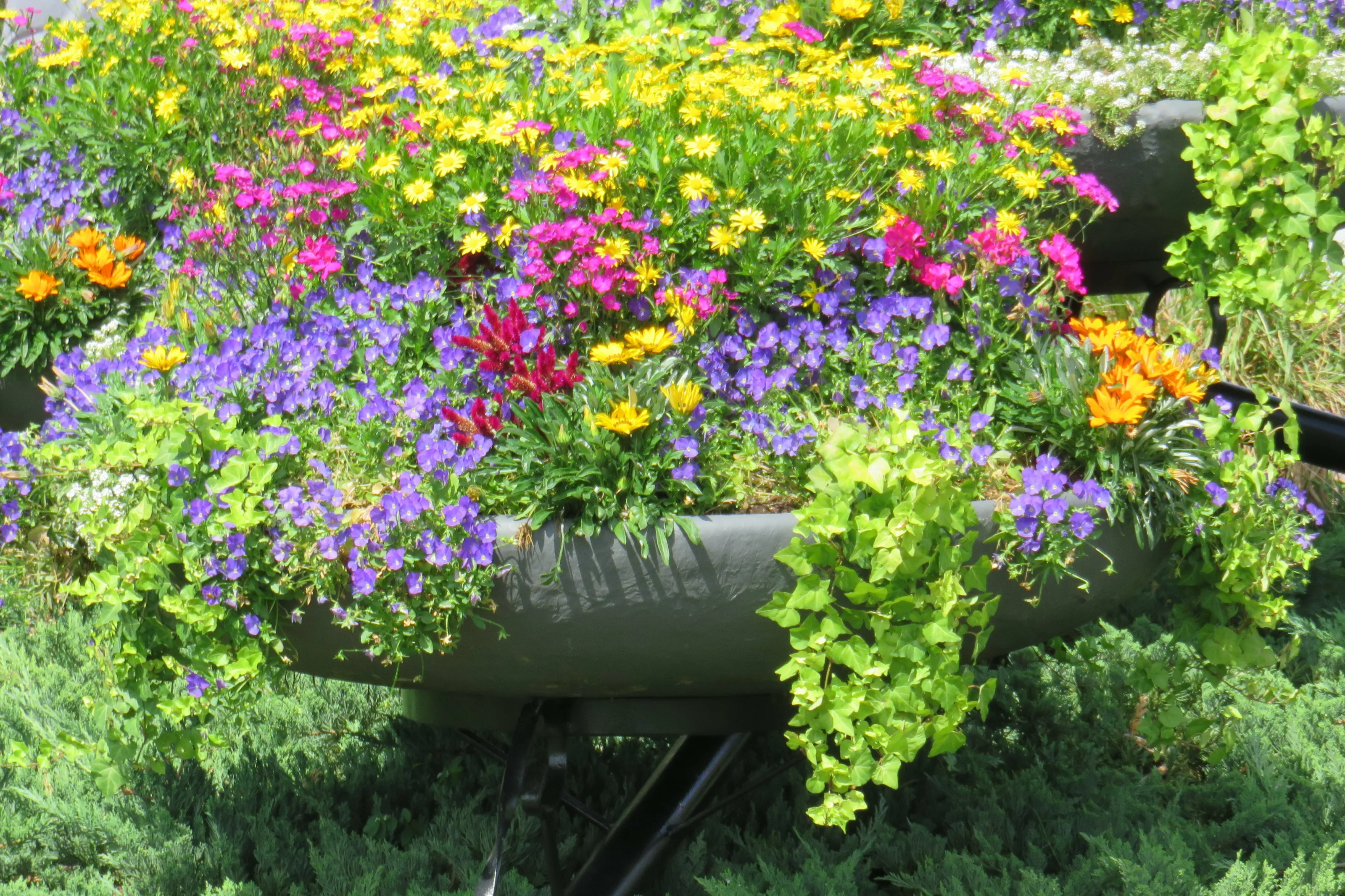 Spring Color