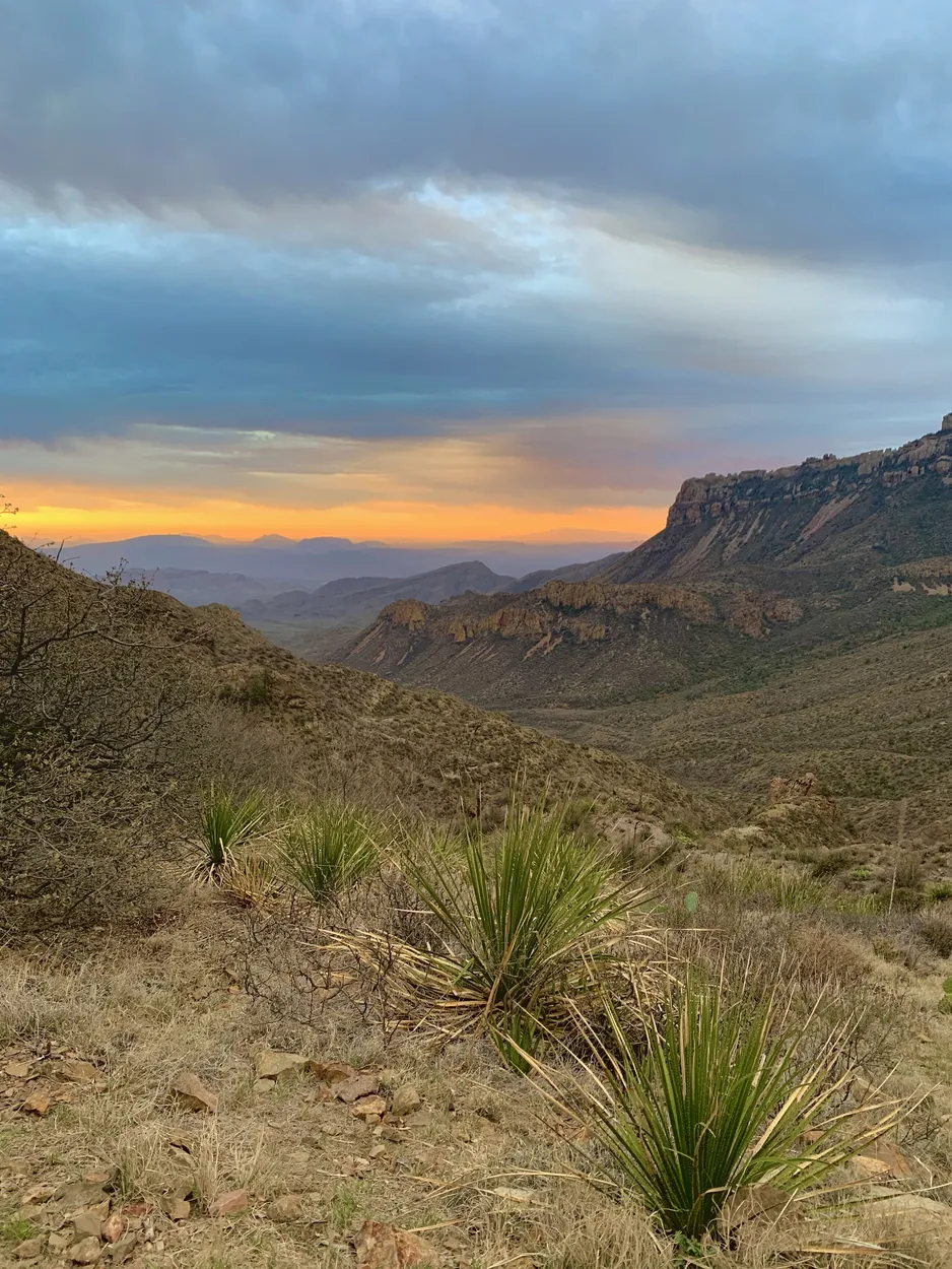Entry 16543216