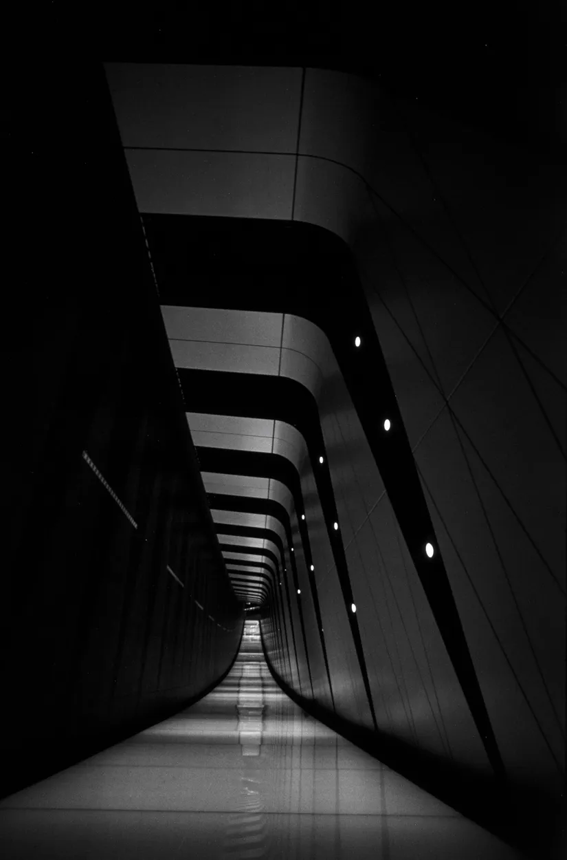 Entry 17731247