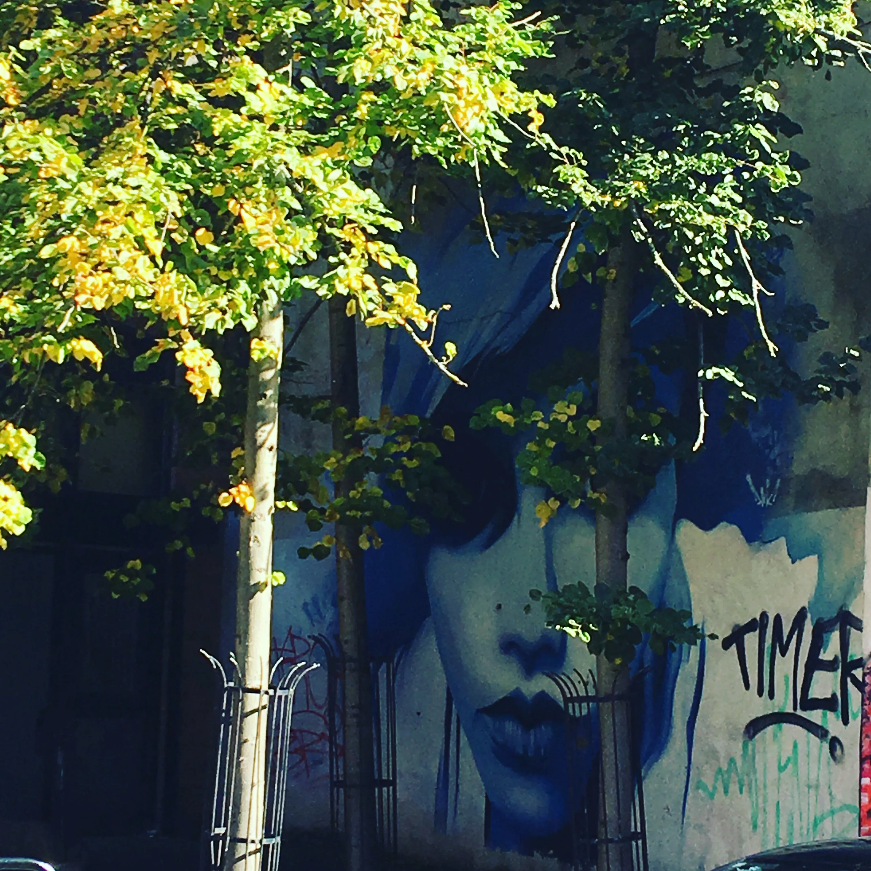 Lady behind the tree