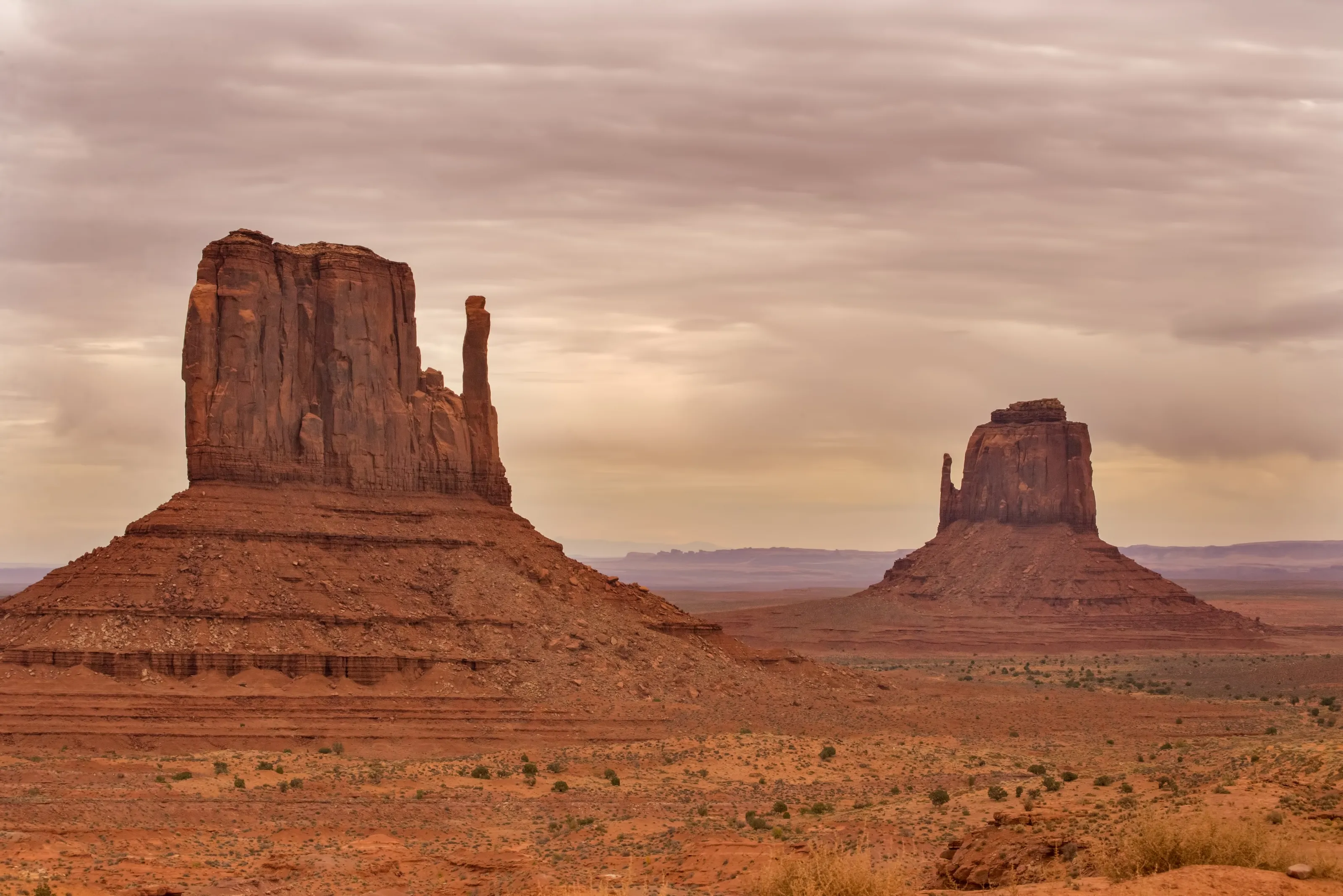 Timeless Serenity