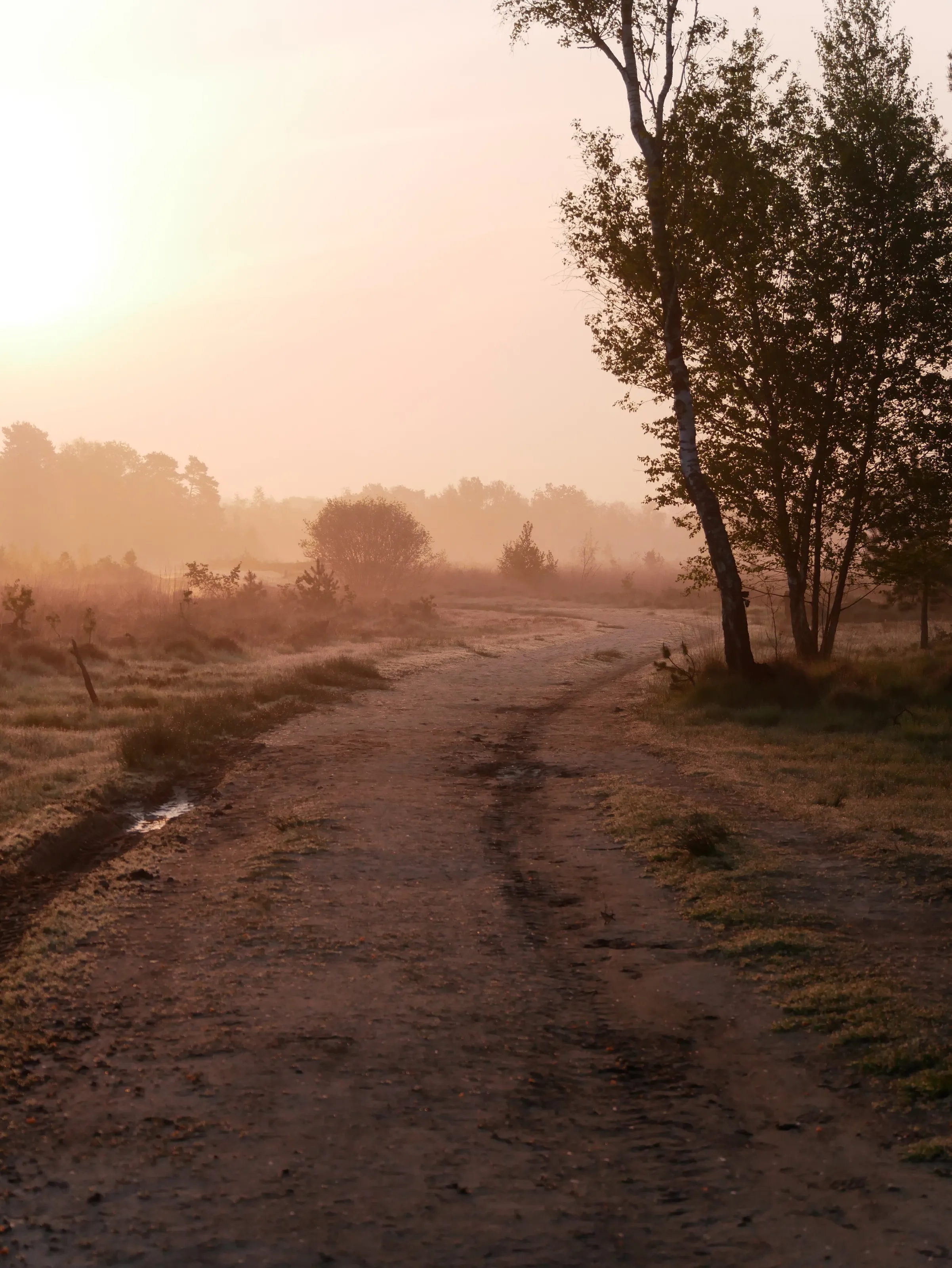 Morning Silence