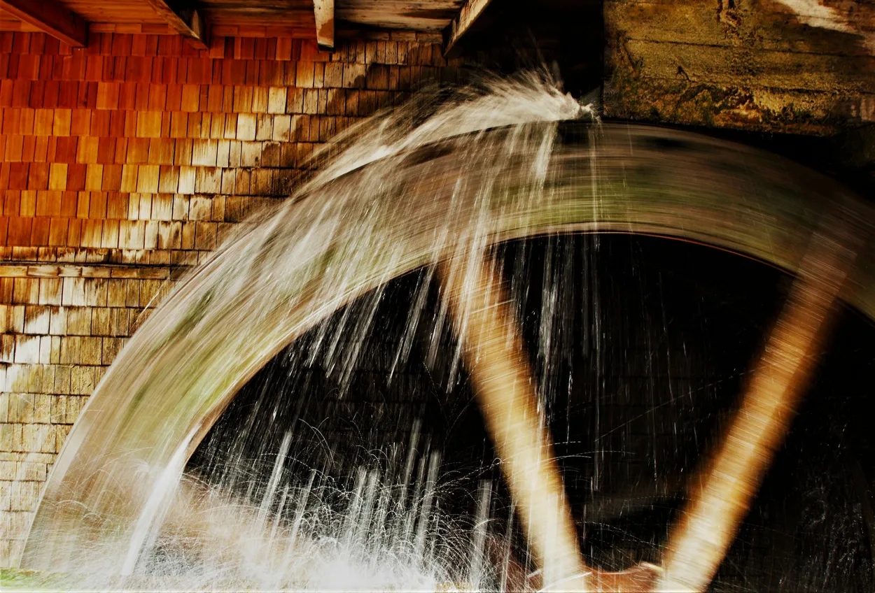 Entry 16577960
