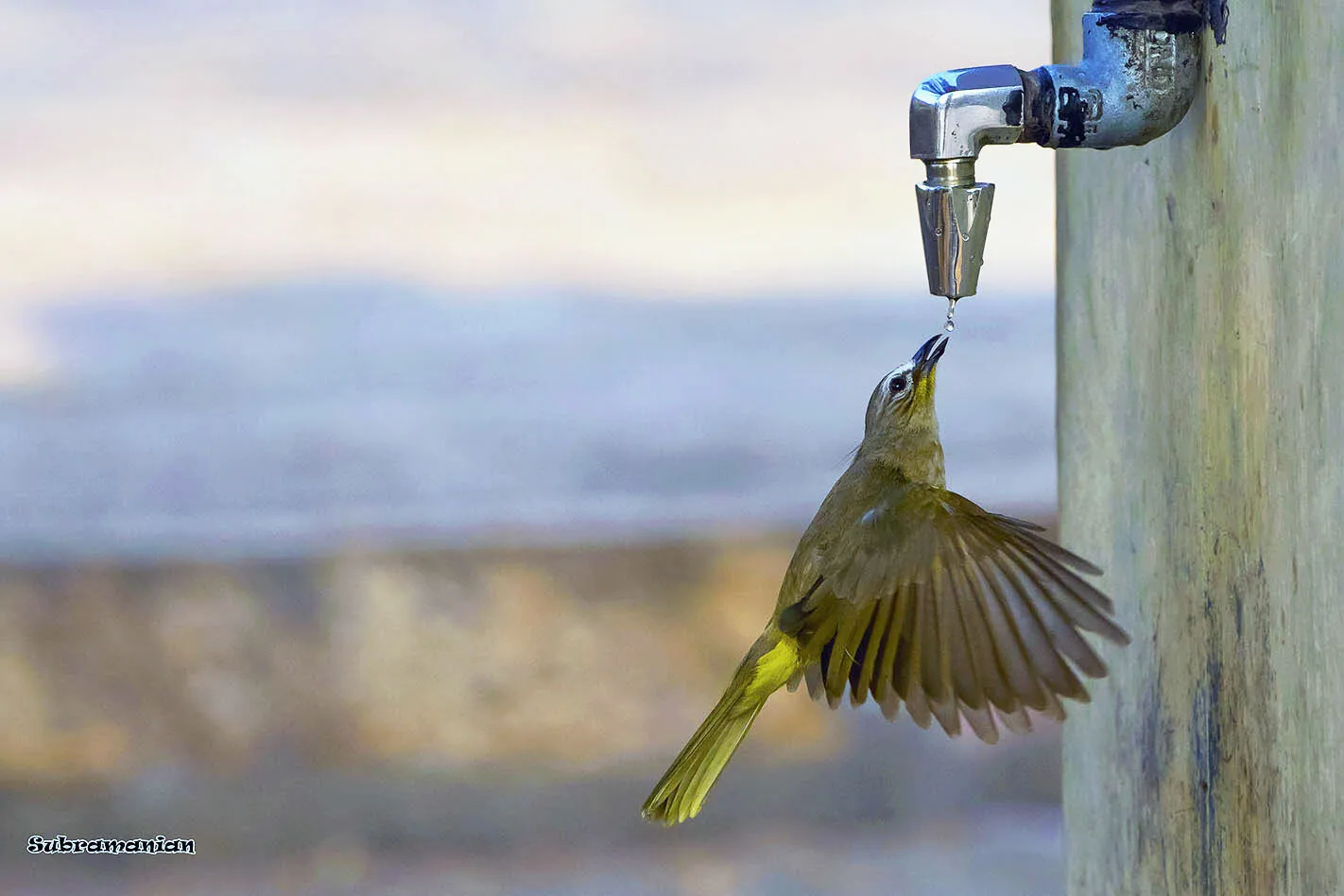 Drop of Water can Save Some One......