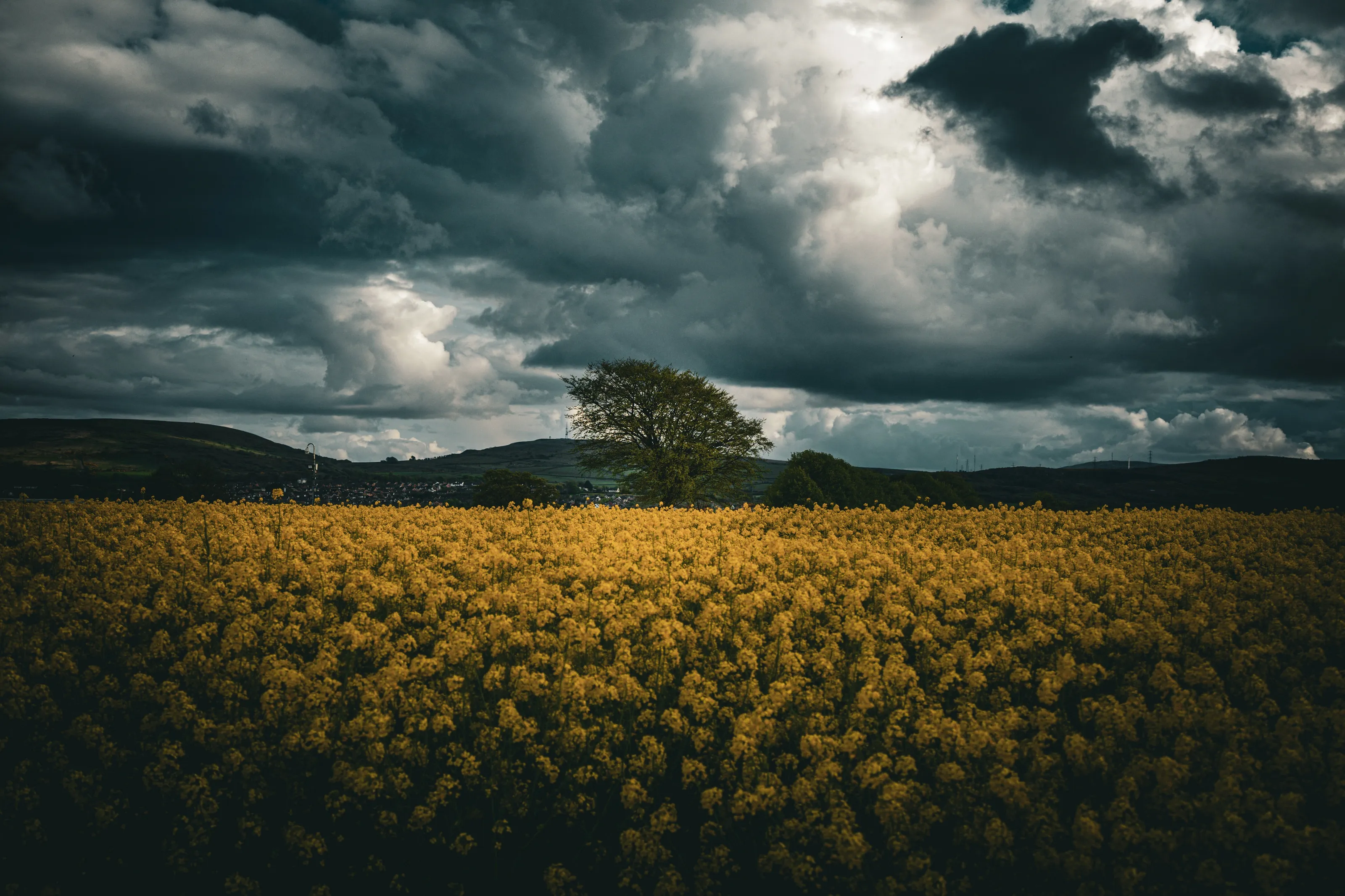 Thunder Storm Crop
