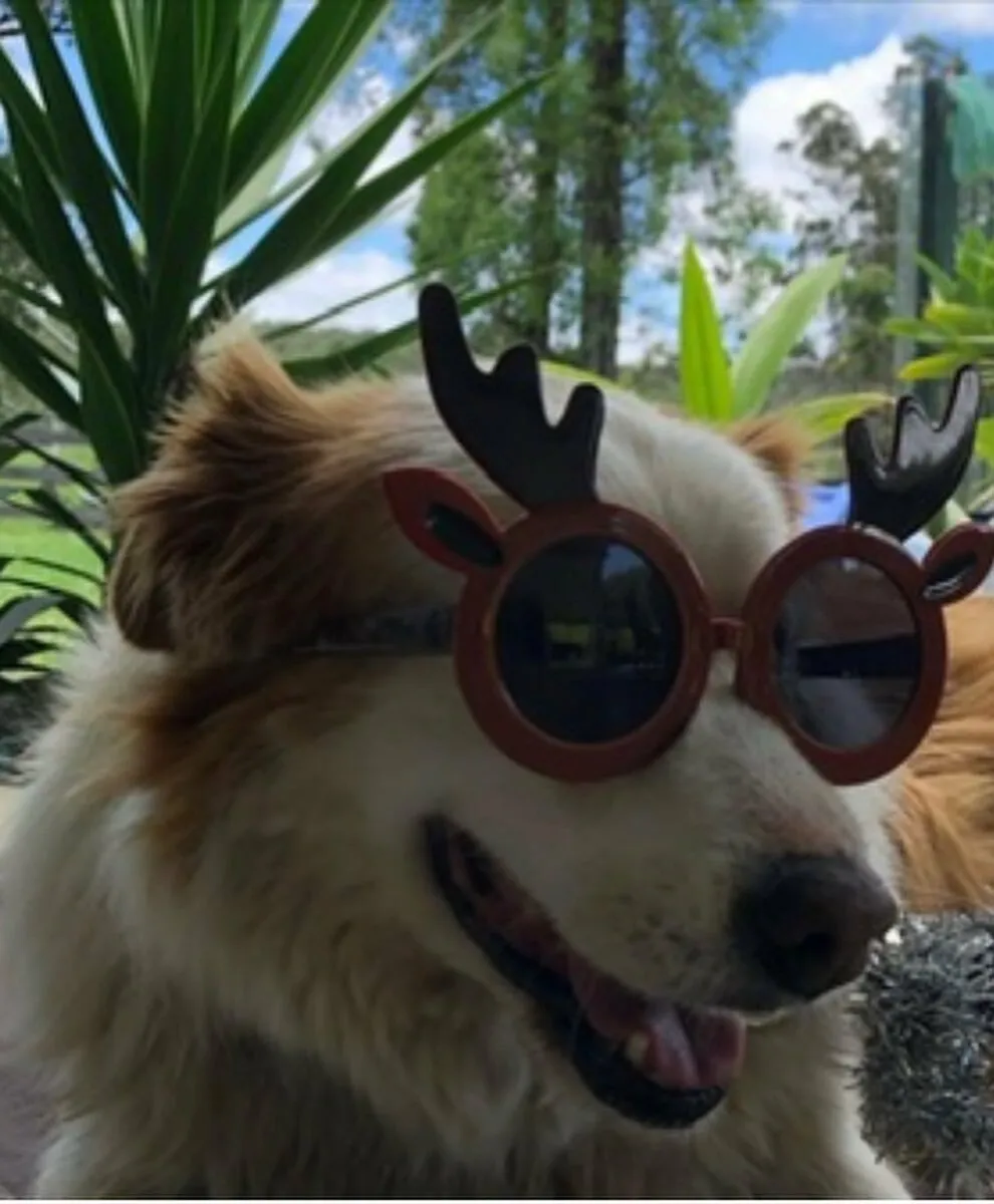 Banner image