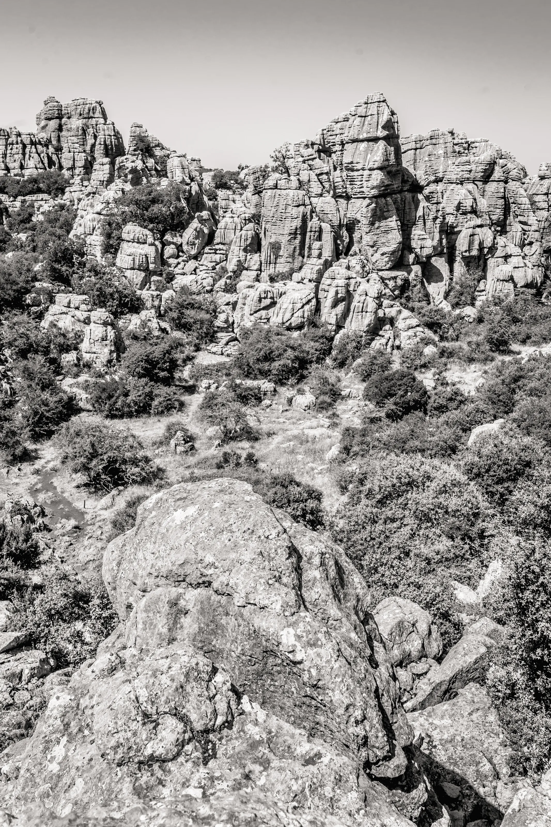 Rocks