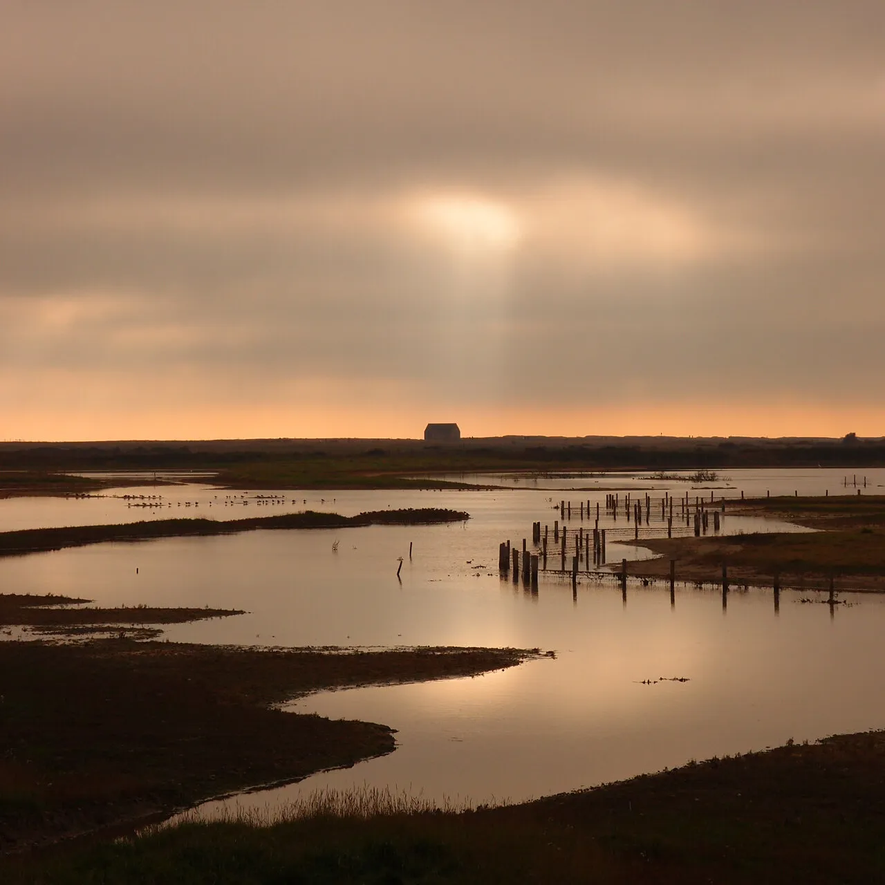 Rye Harbour