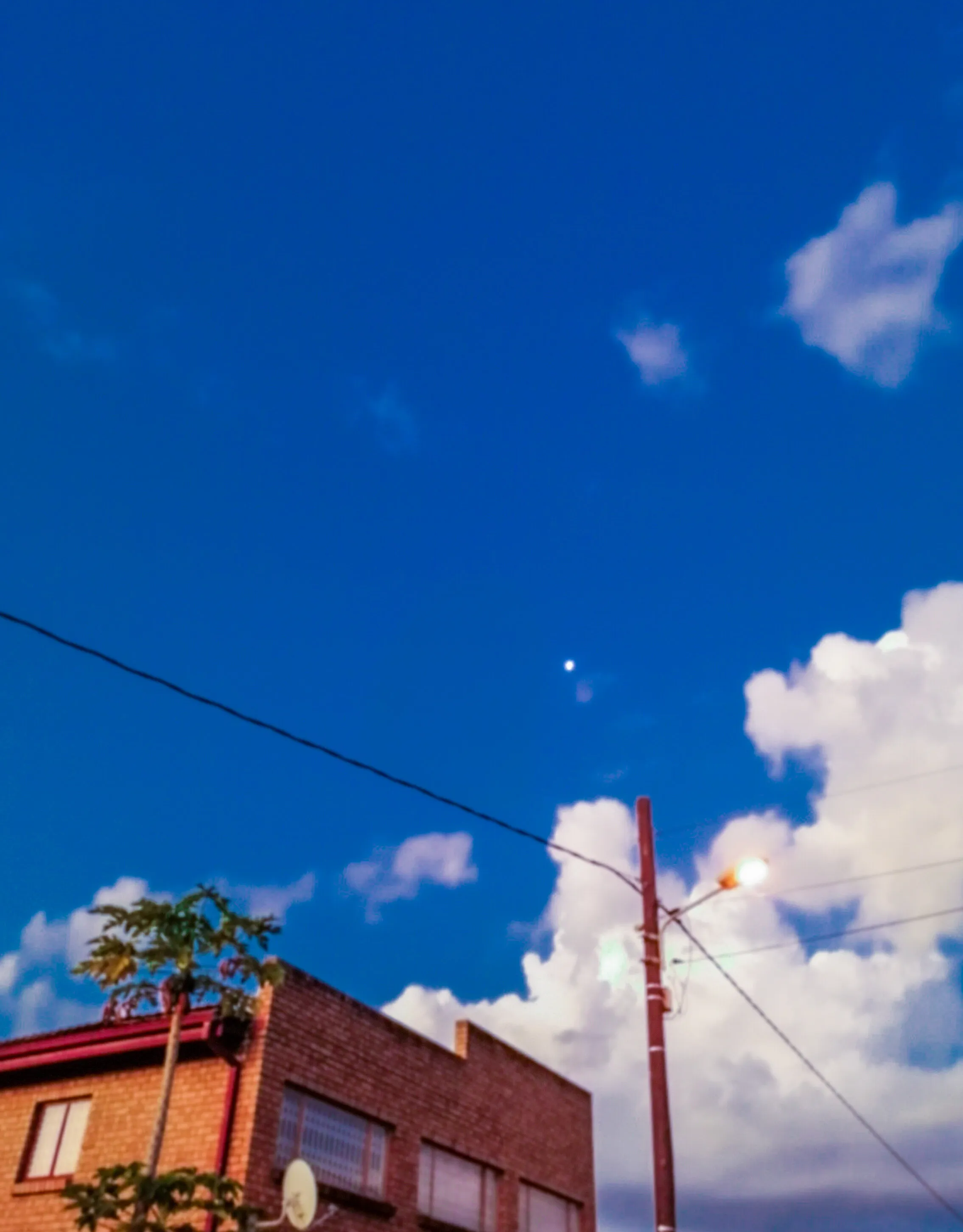 Under the blue Tzaneen sky
