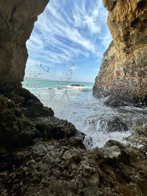 Entry 16614113