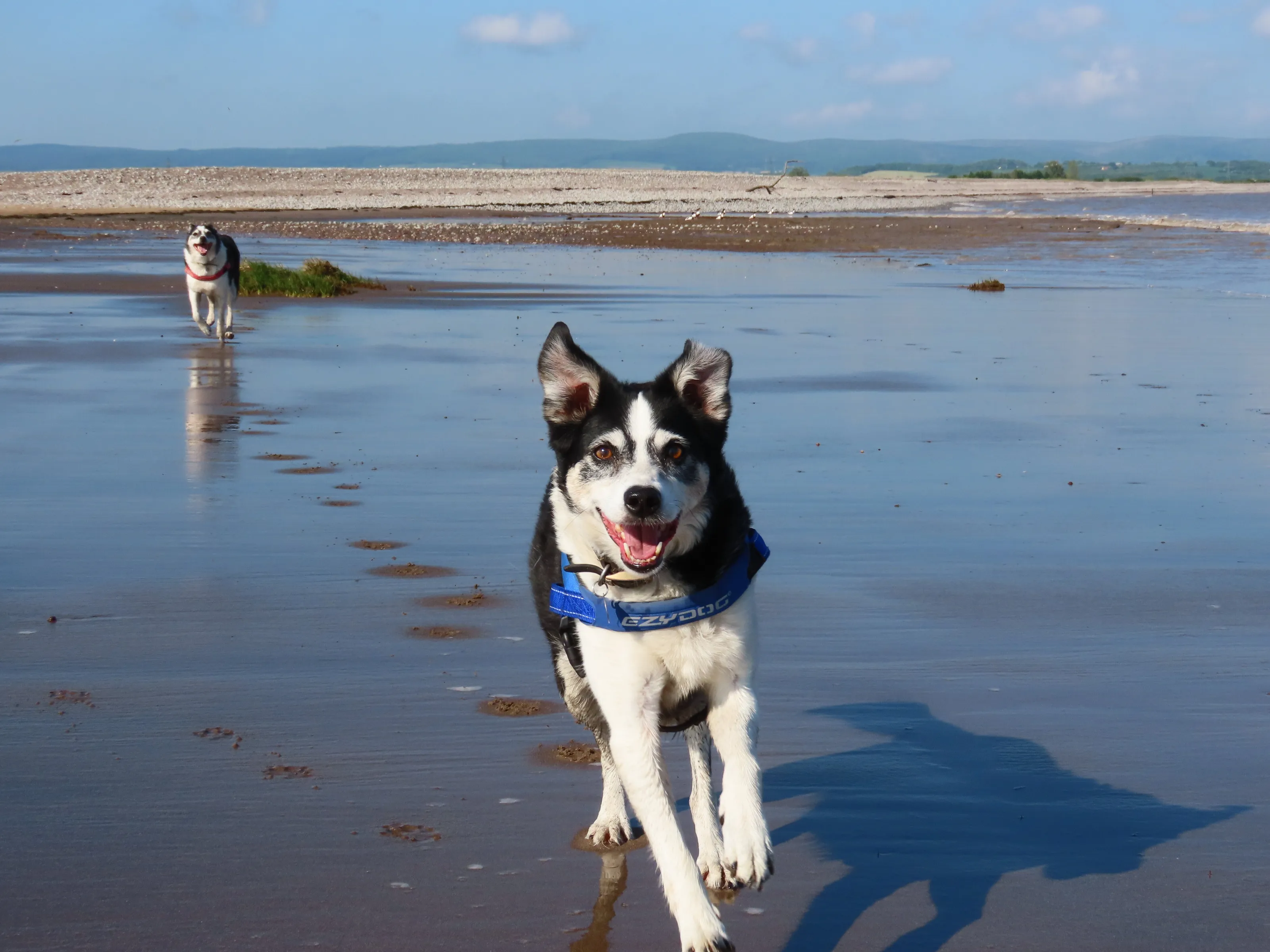 Beach Run