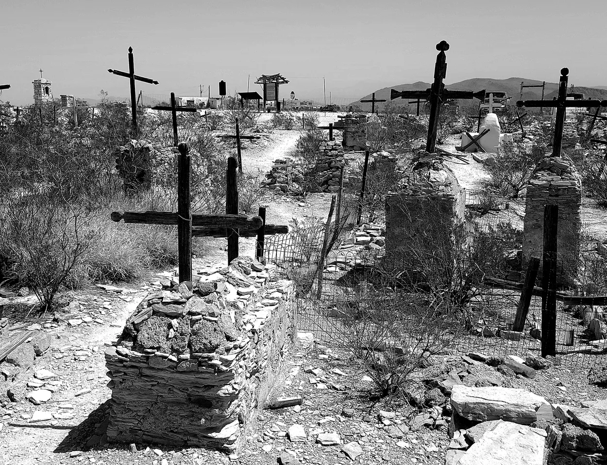 Entry 16629620