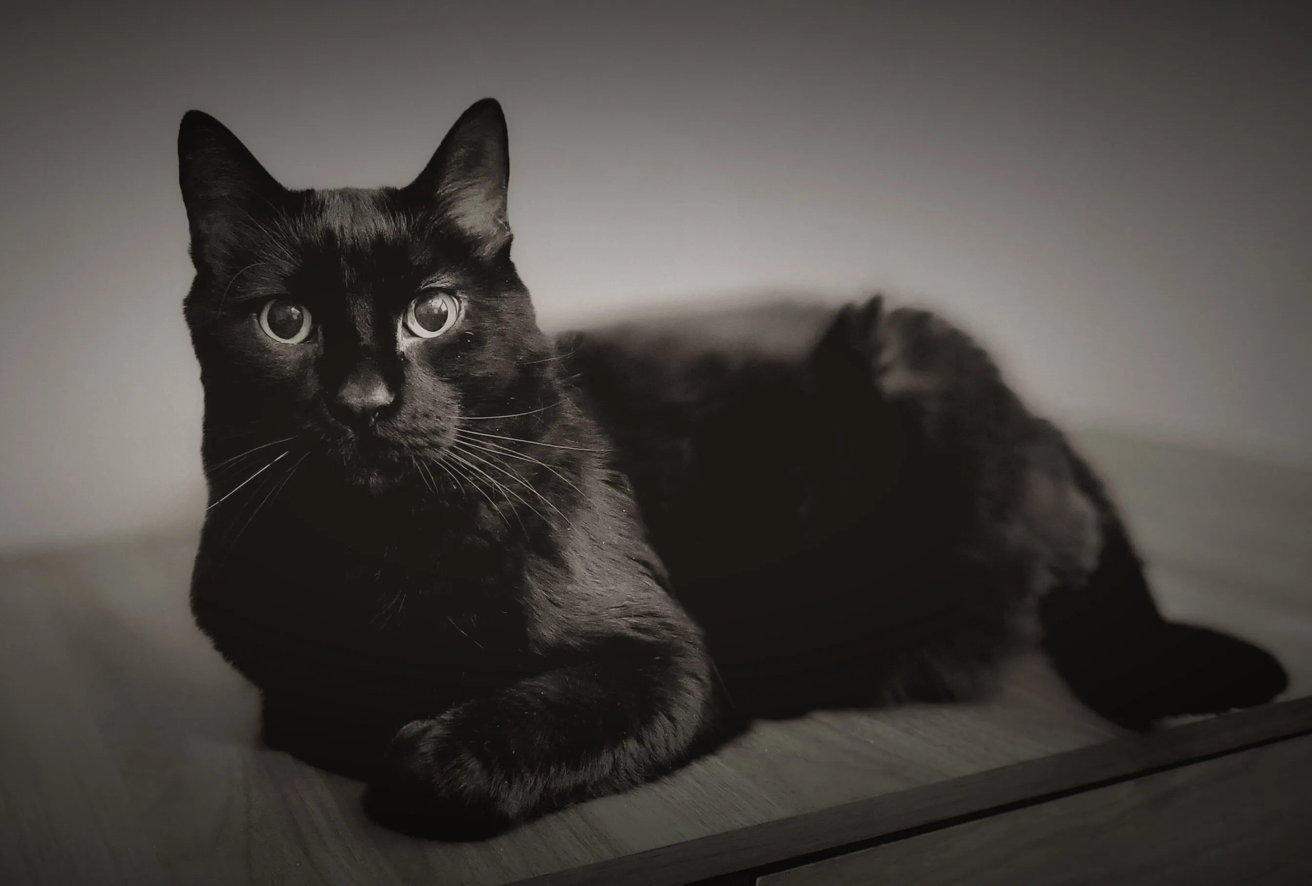 Grimm