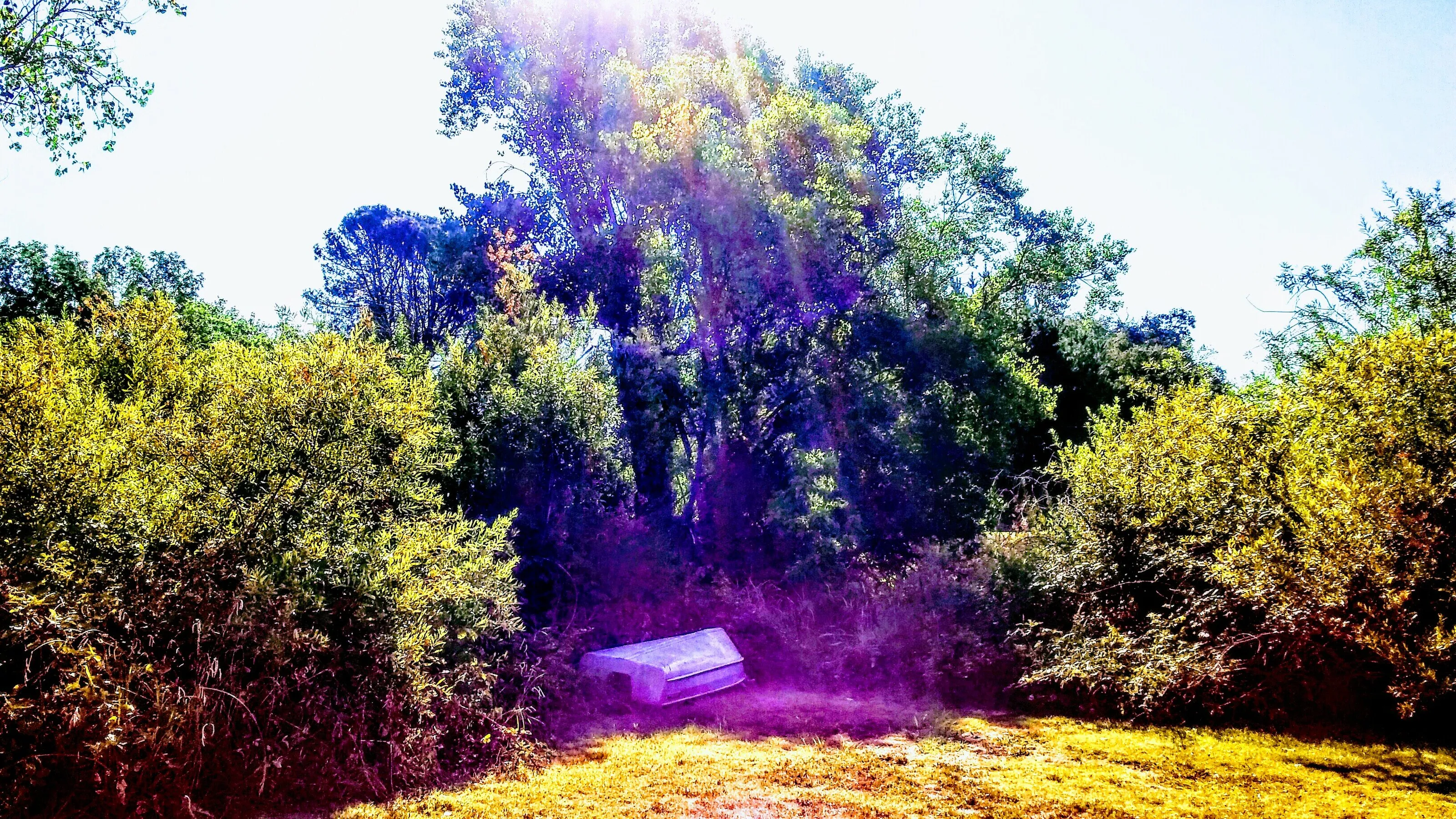 Abandoned Summer