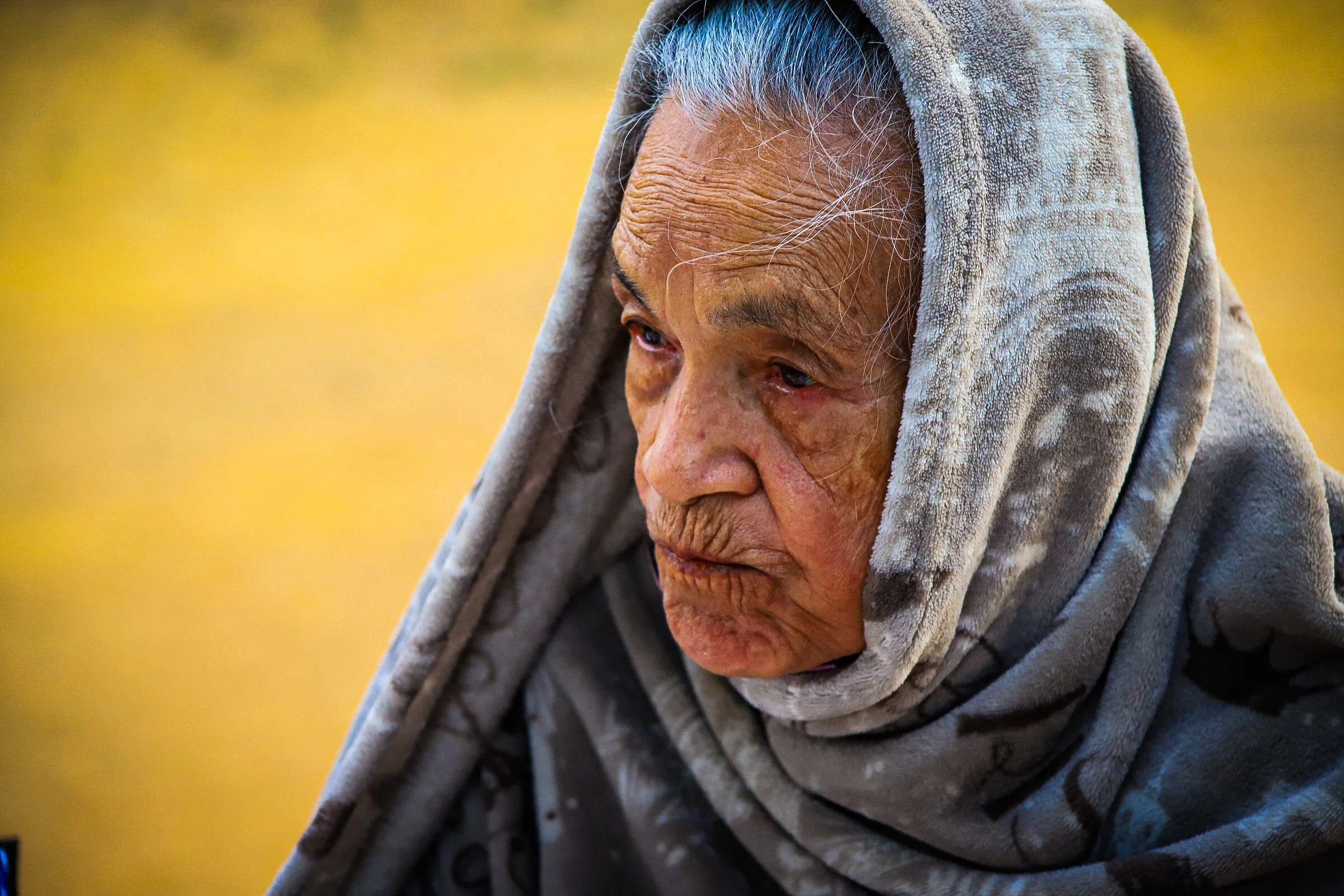 Matriarch