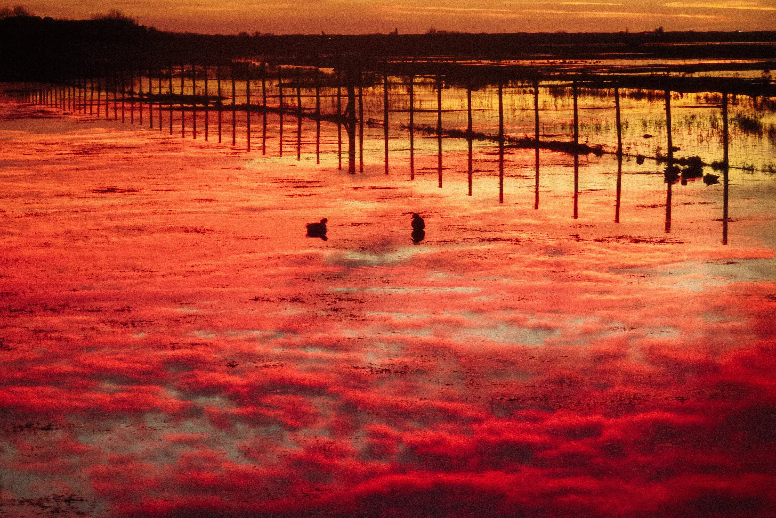 Lake of fire