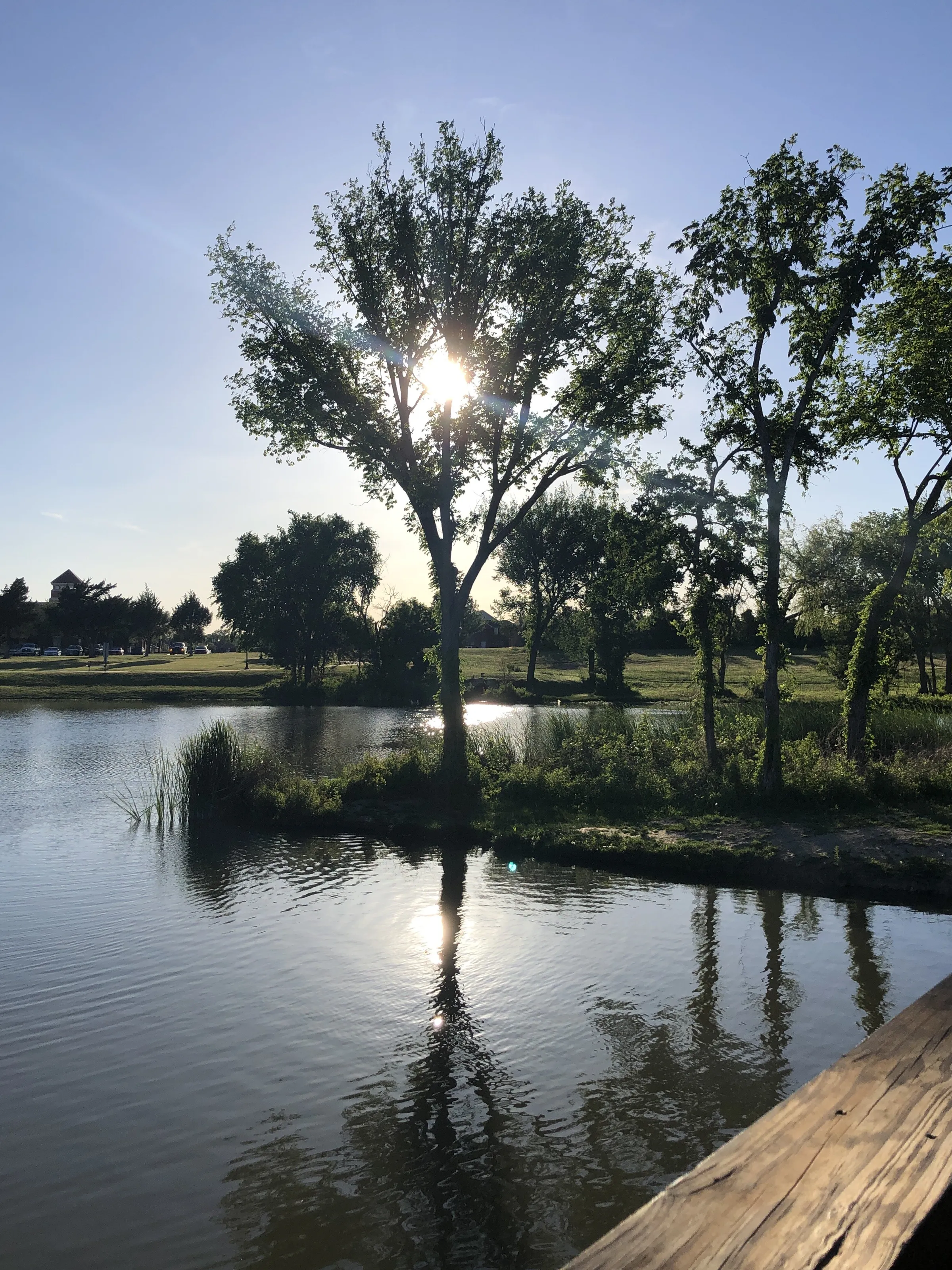 Evening peace