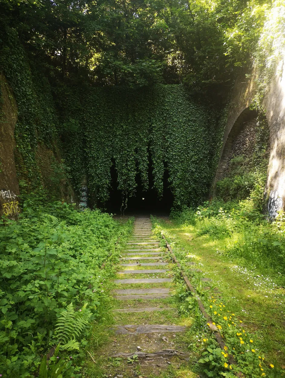 Entry 16716664