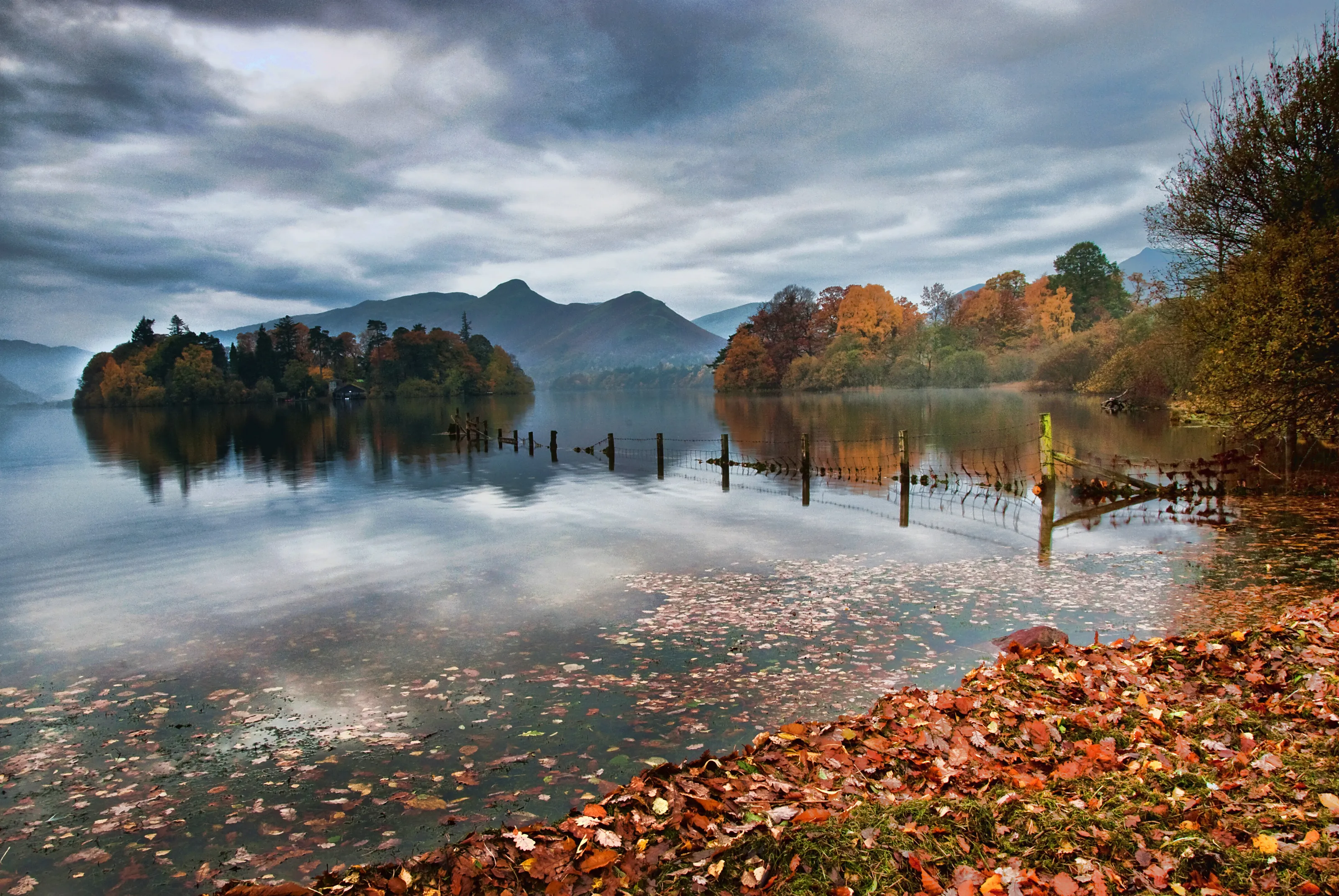 Leaves on Derwentwater