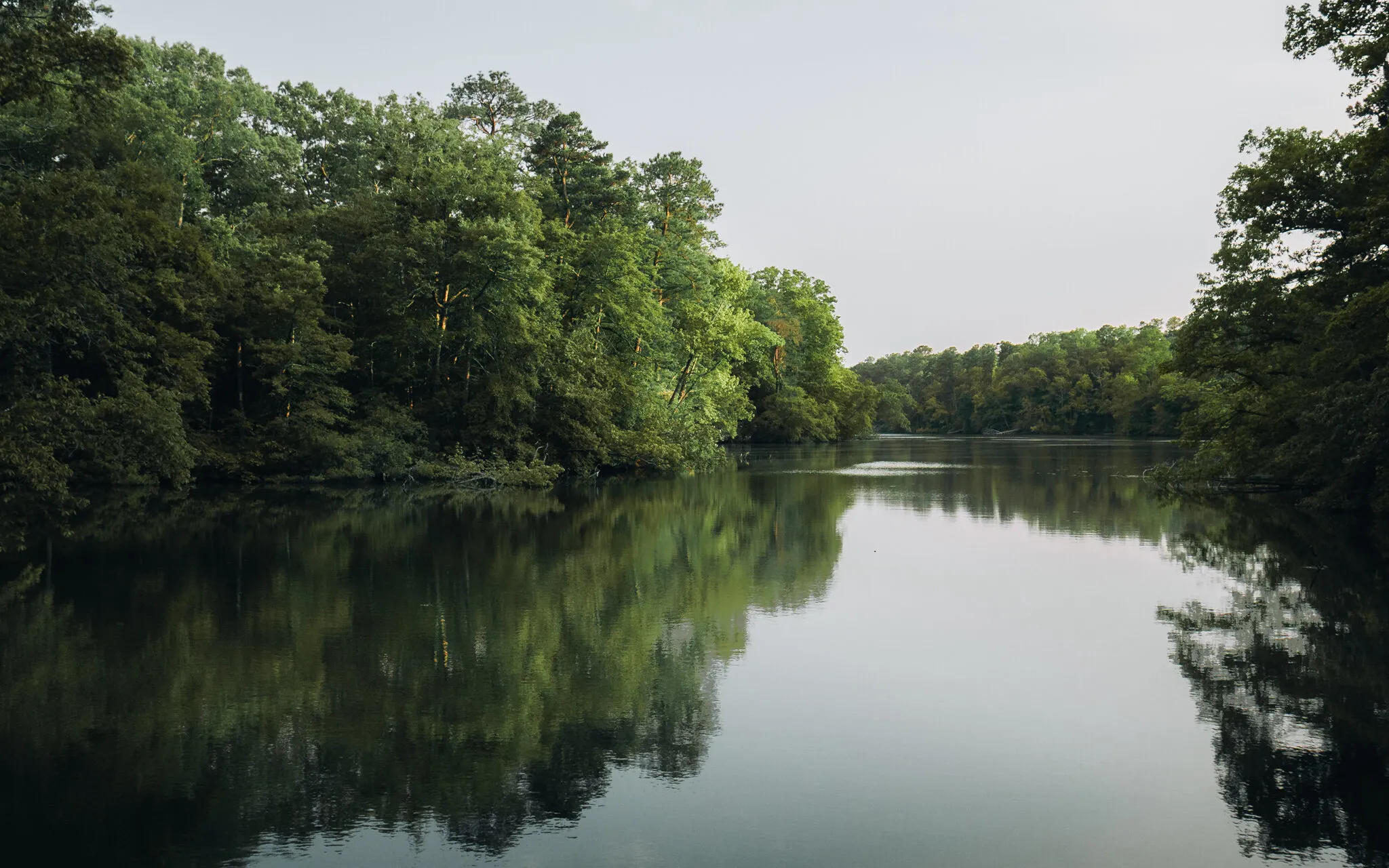 Hazy Reflection