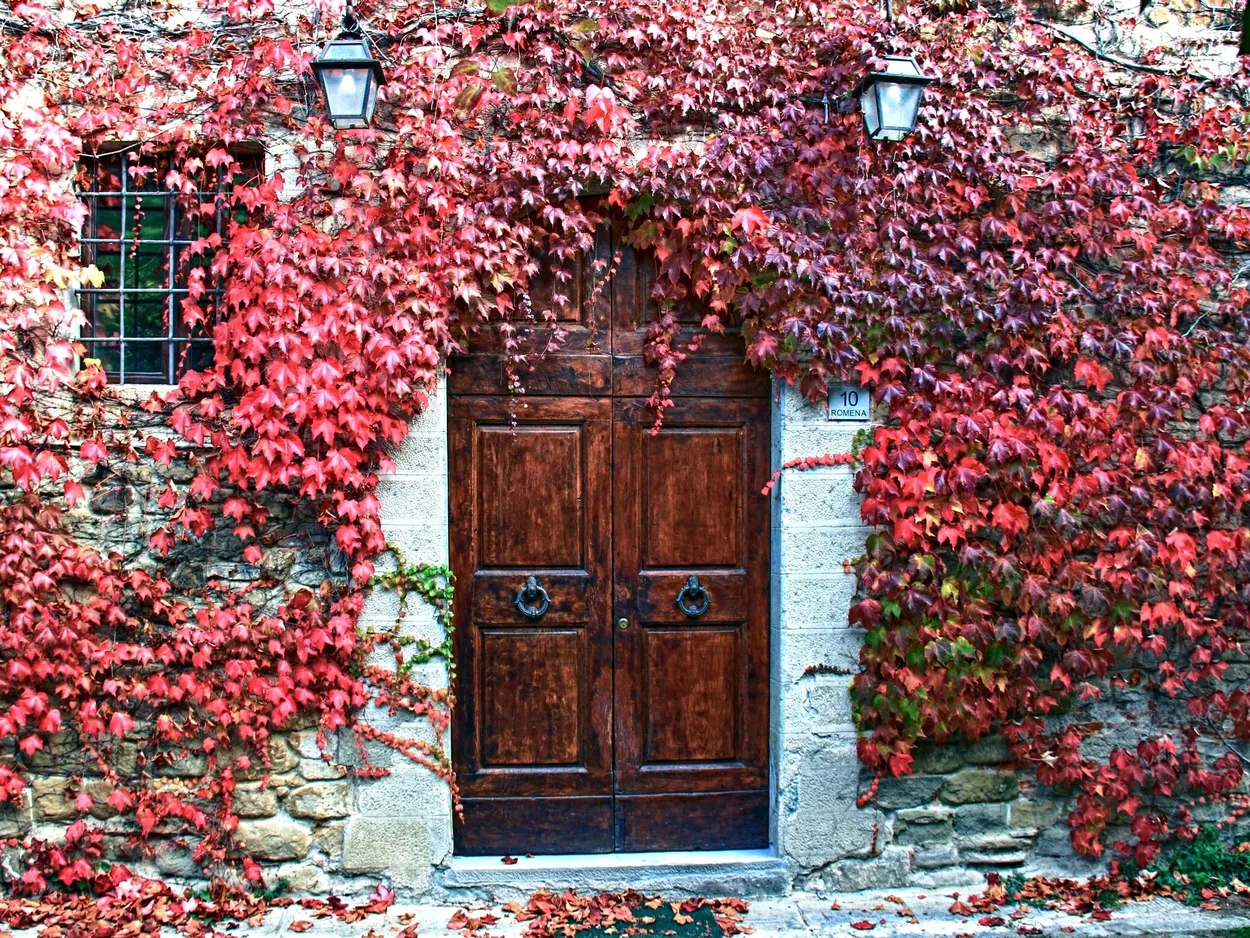 Entry 16701209
