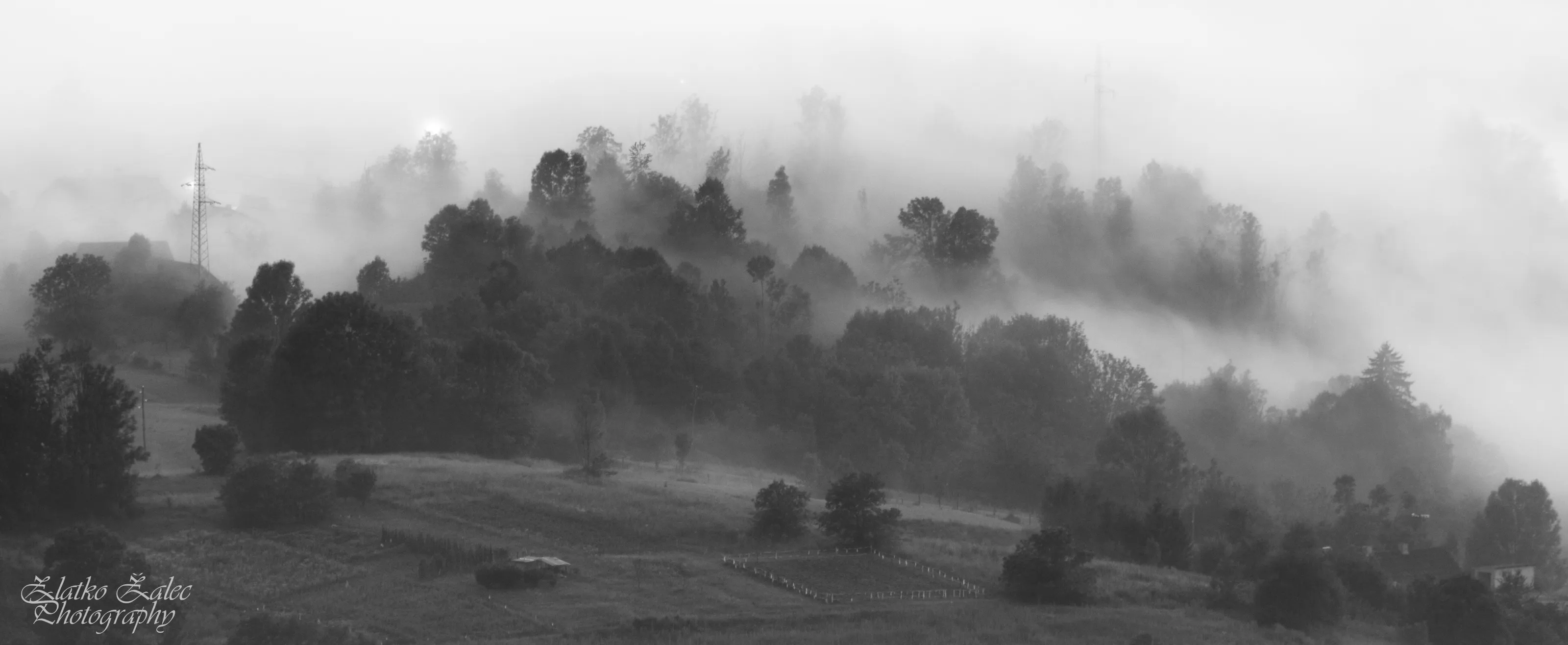 foggy countrside scene