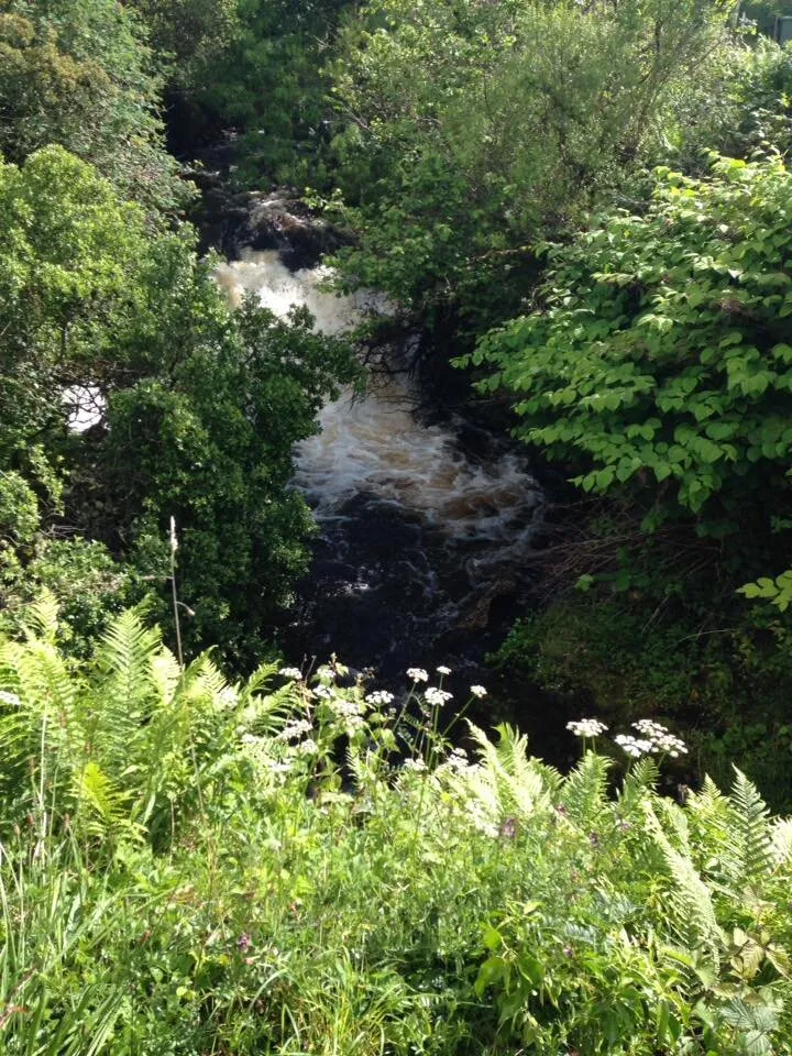Waterfall