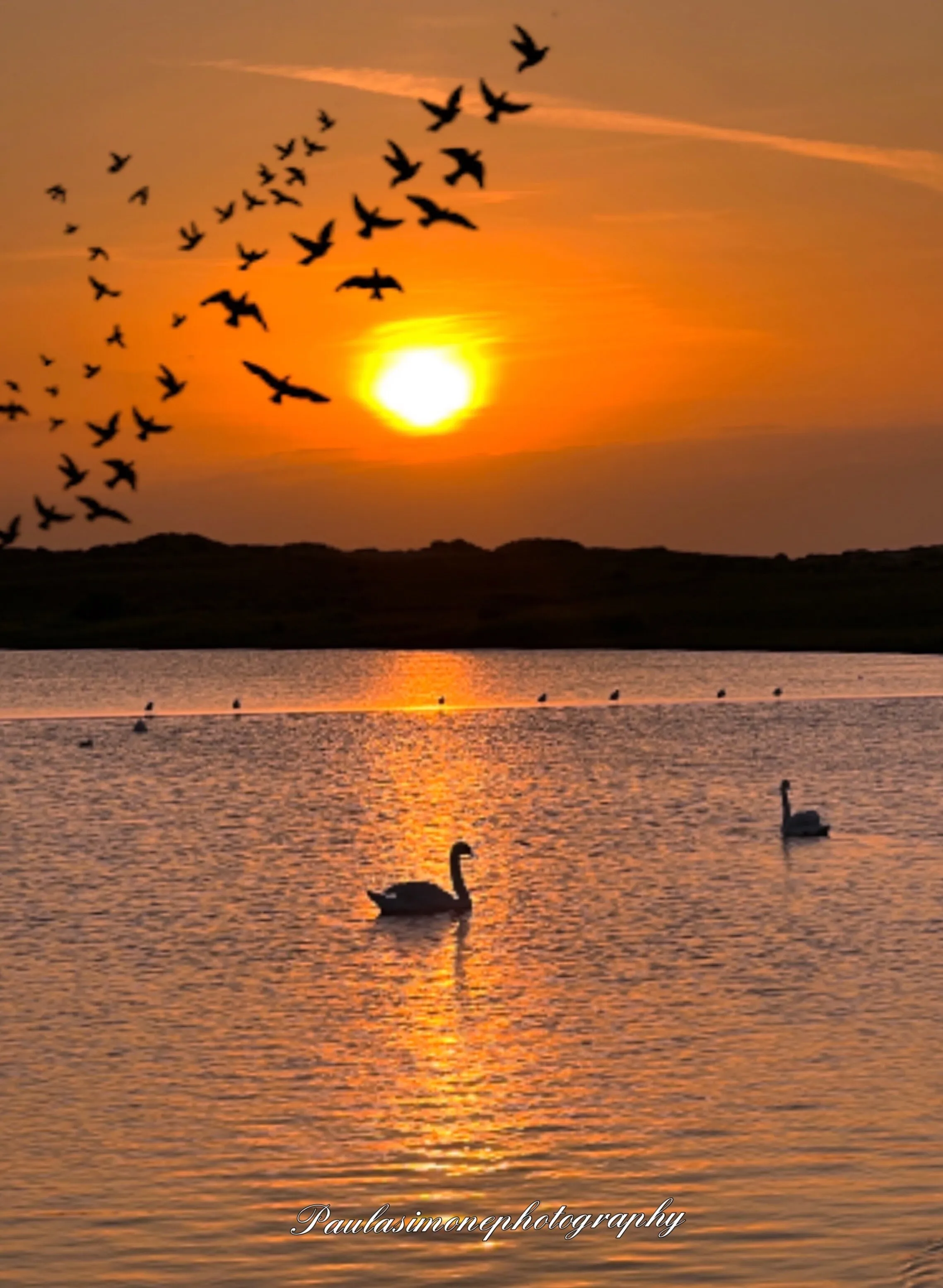 Swan Lake