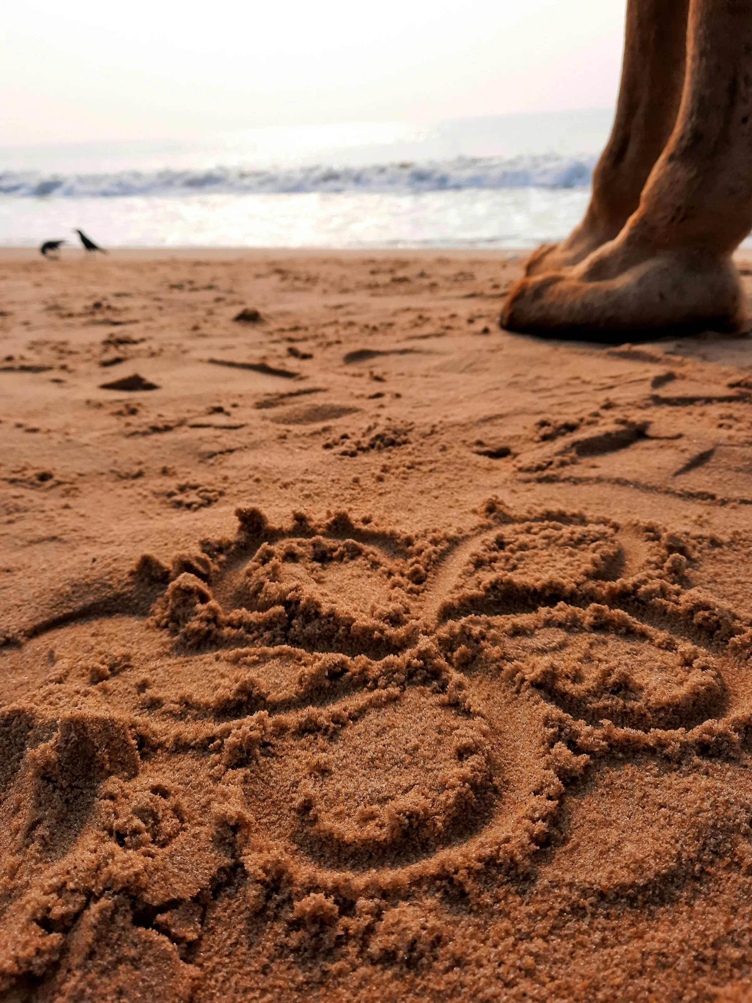 Smell the sea, Feel the breeze, Hear the ocean, Be at ease....