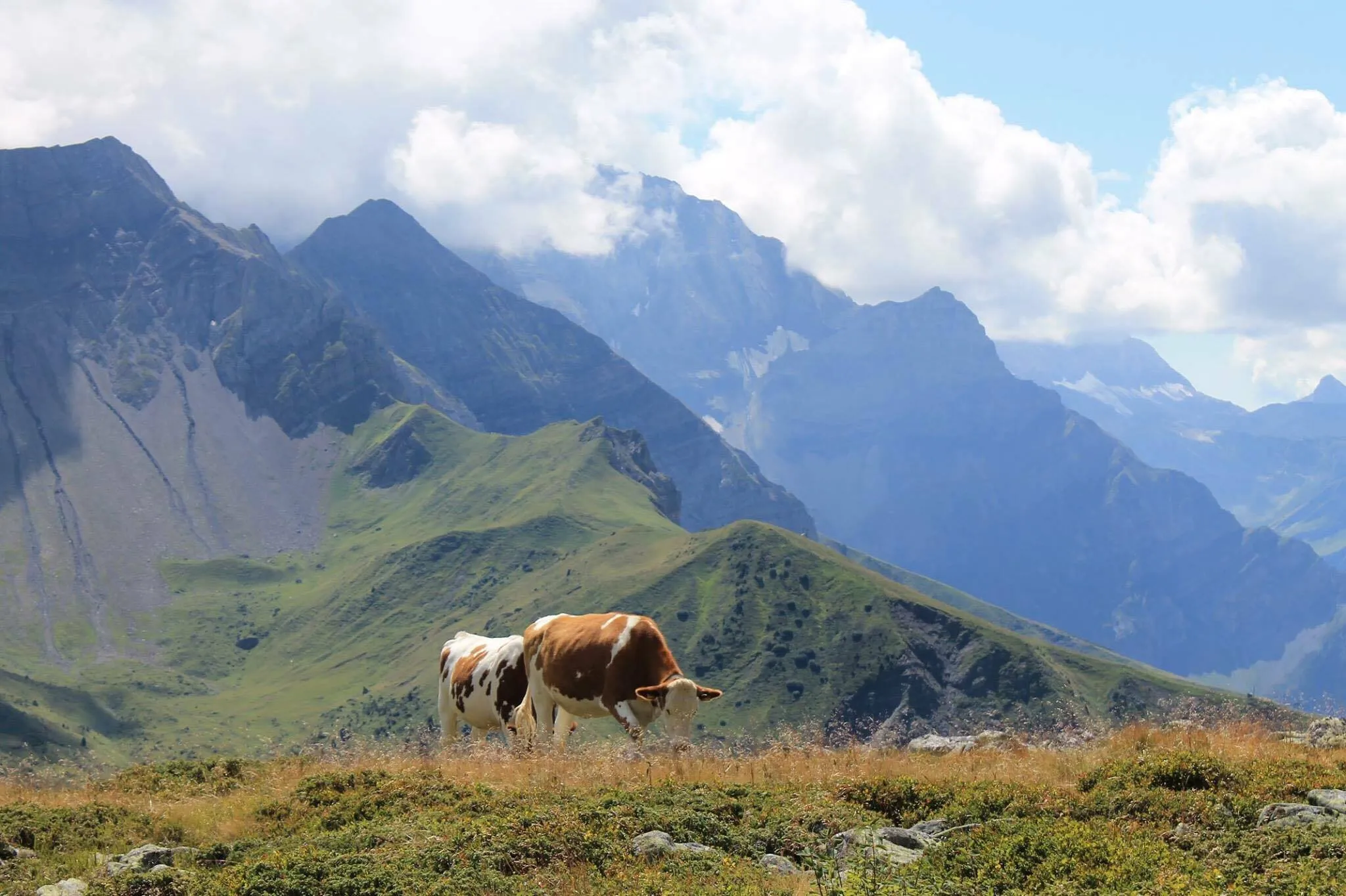 Swiss Mountains