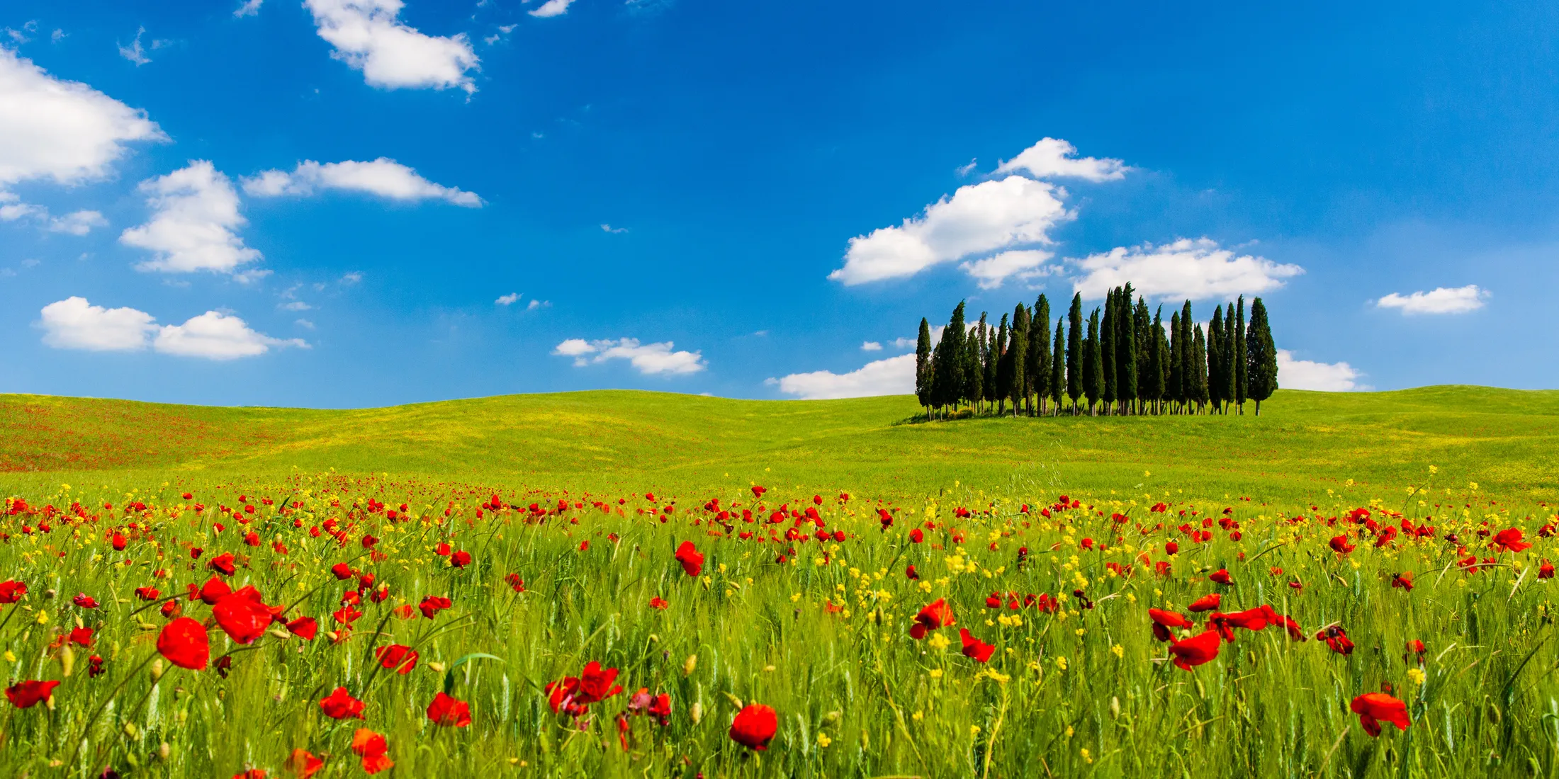 Entry 16716174