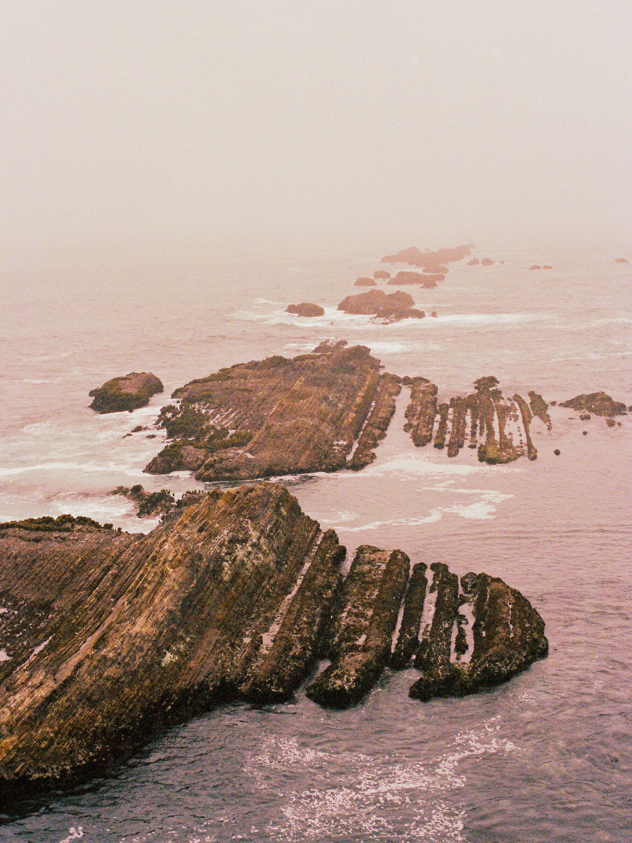 The Steps