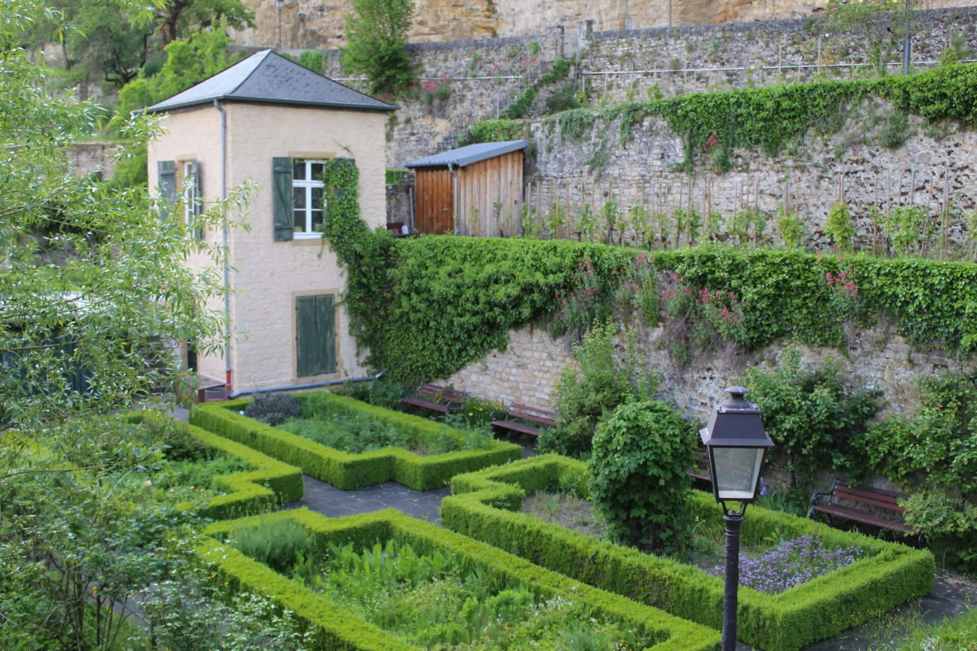 Pan's Garden