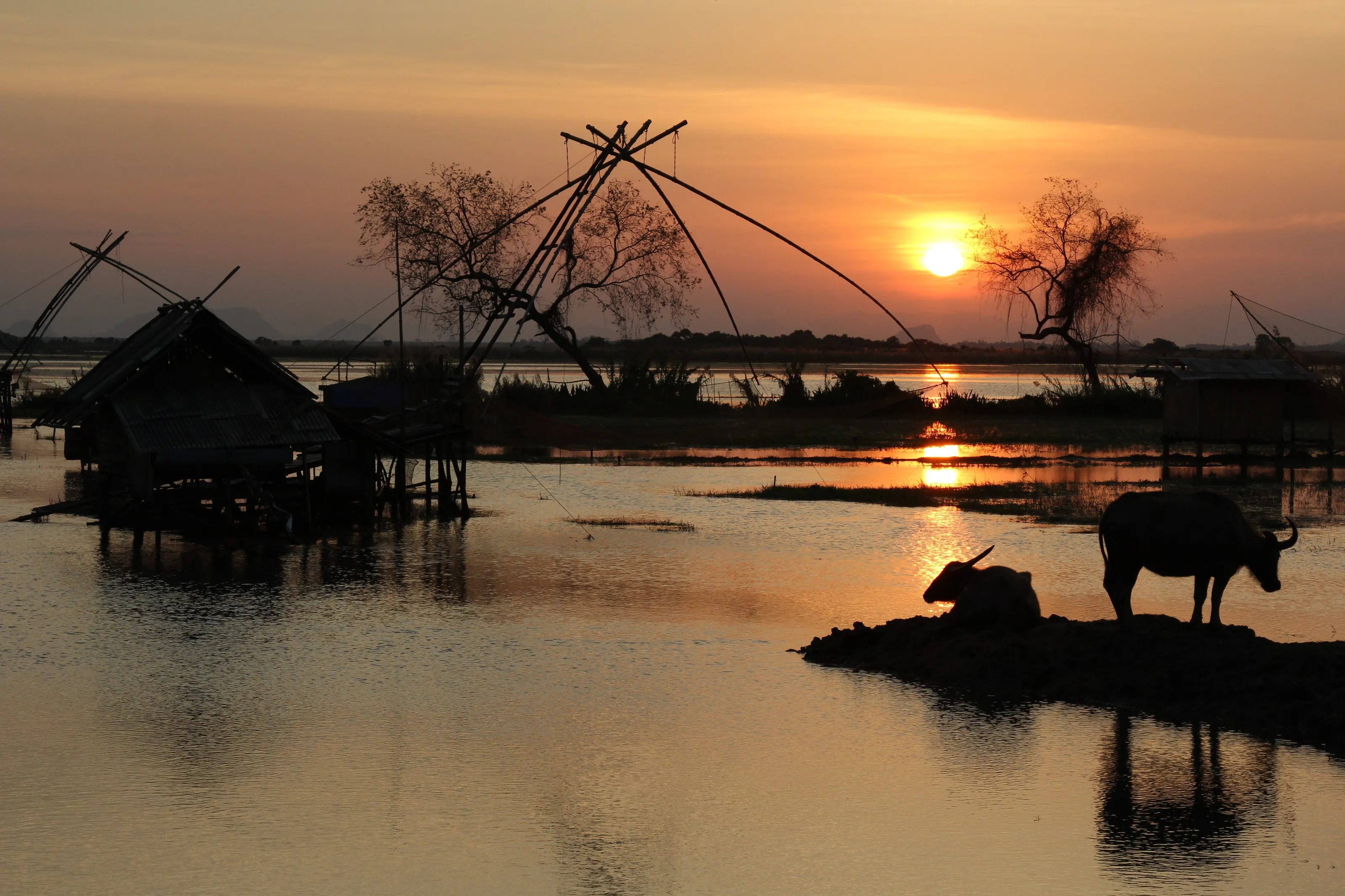 sunset