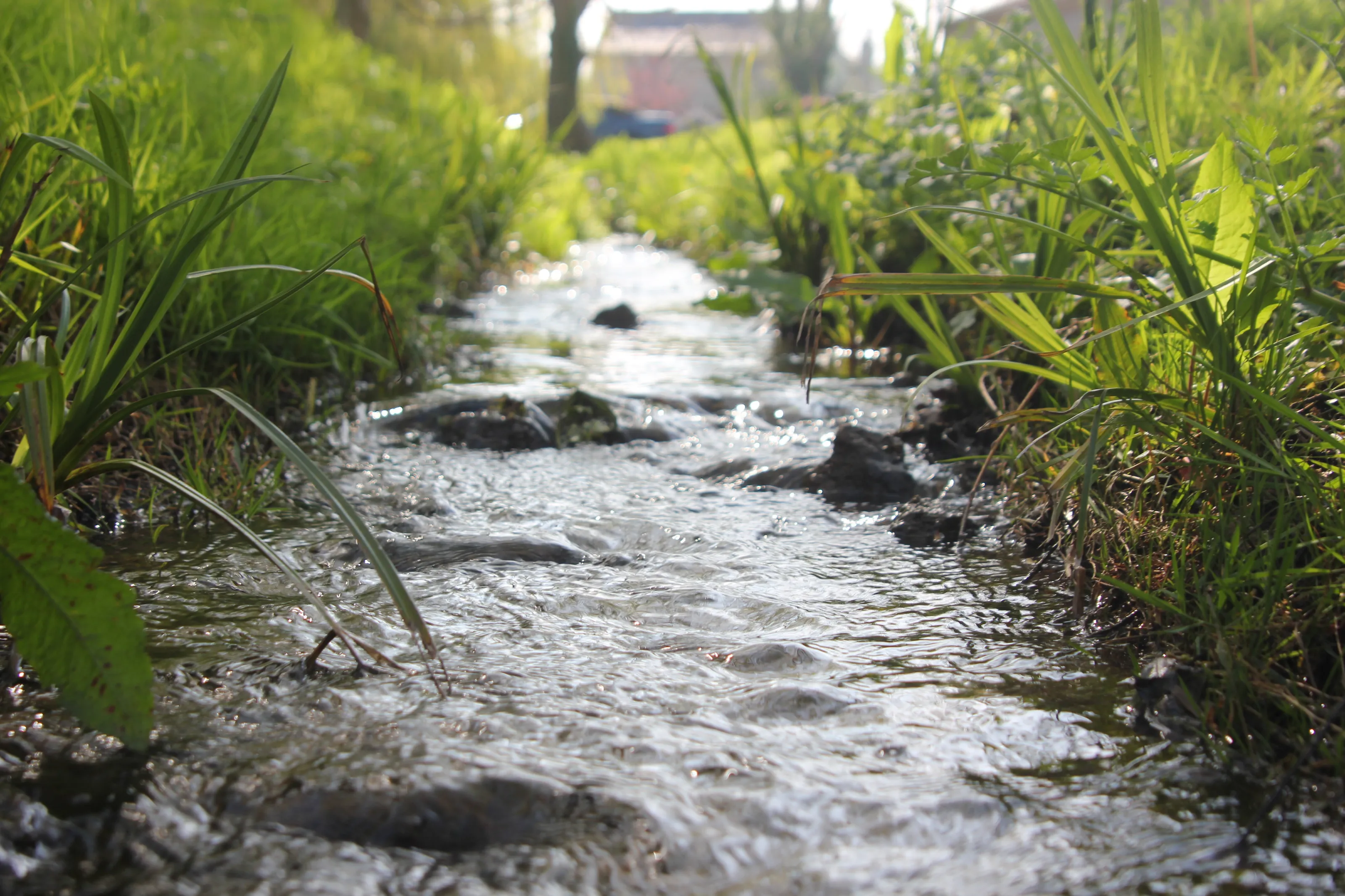 stream