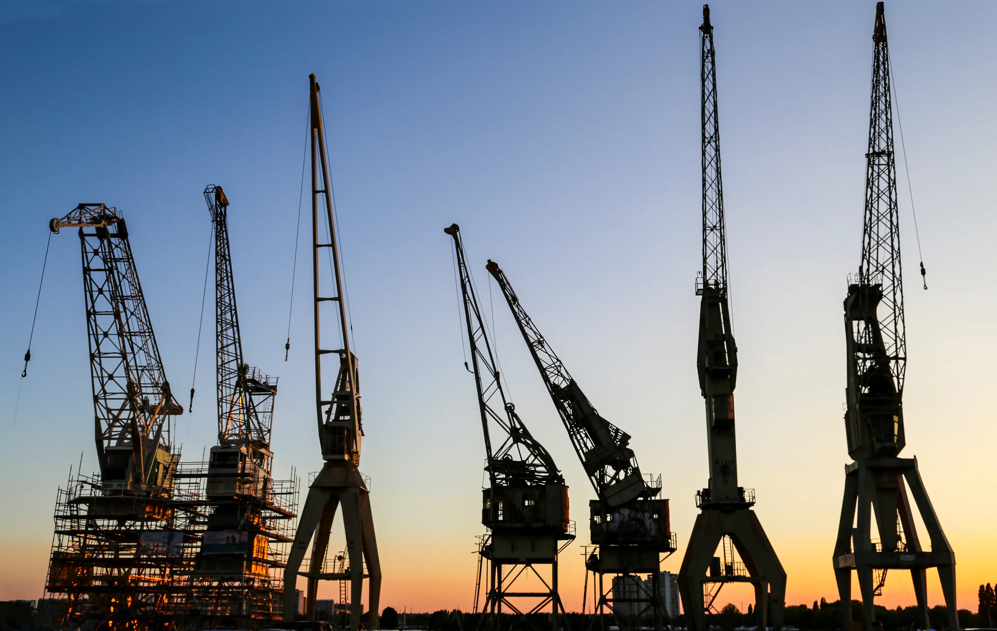 society of cranes