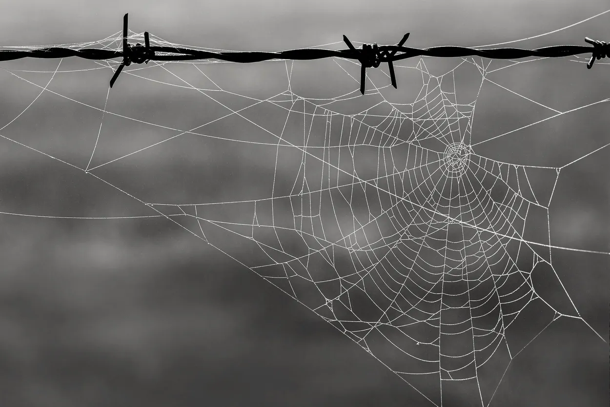 Entry 18024670