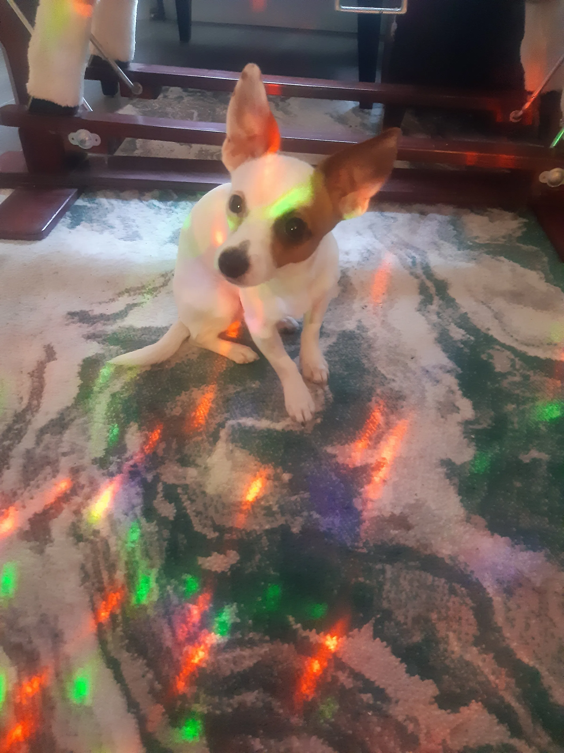 Disco dancing Lennie