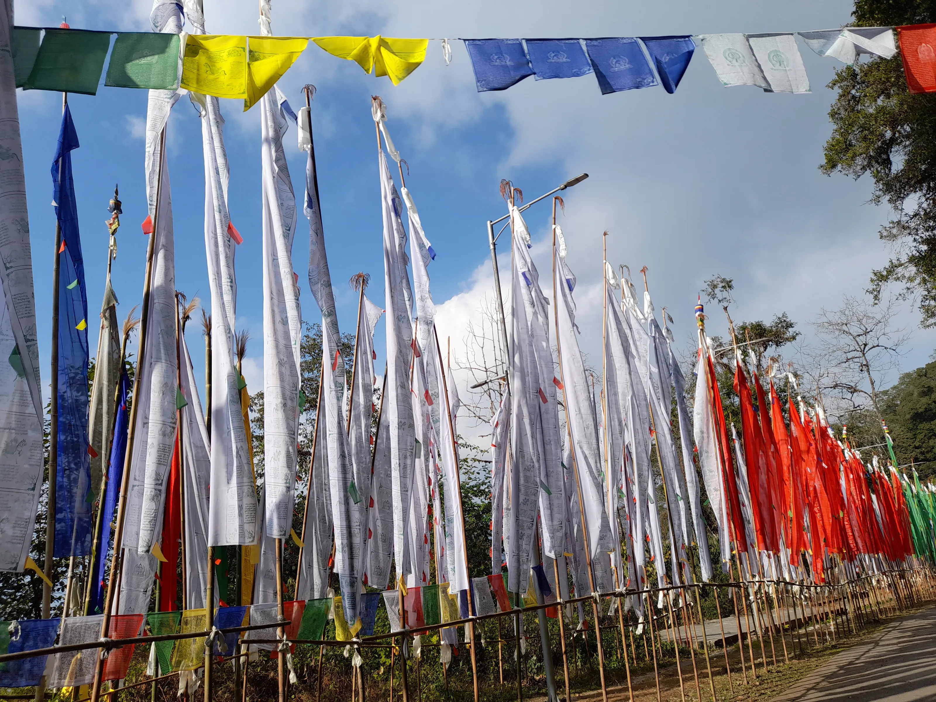 Holding flags for the coming ages