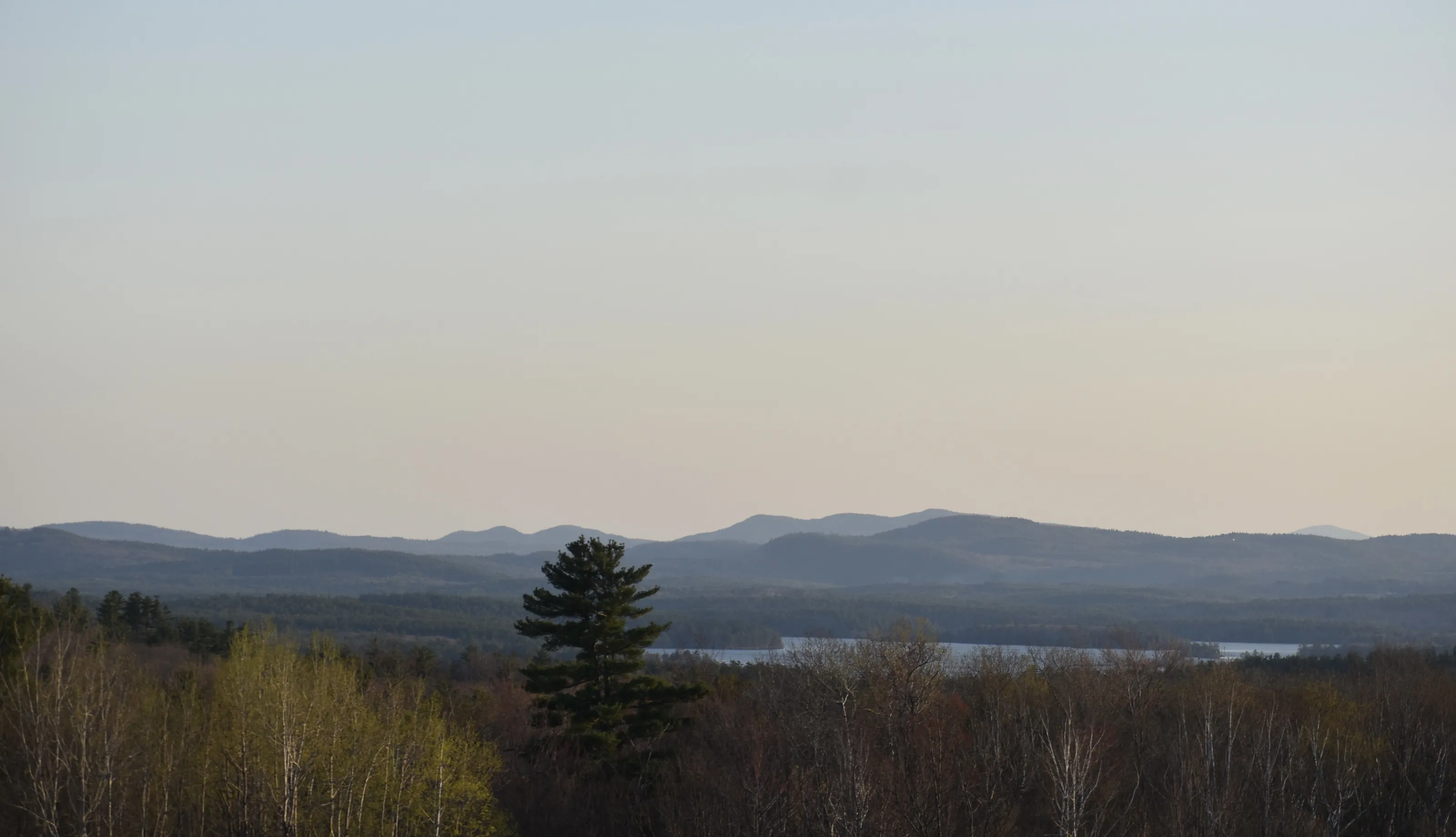 Early Spring