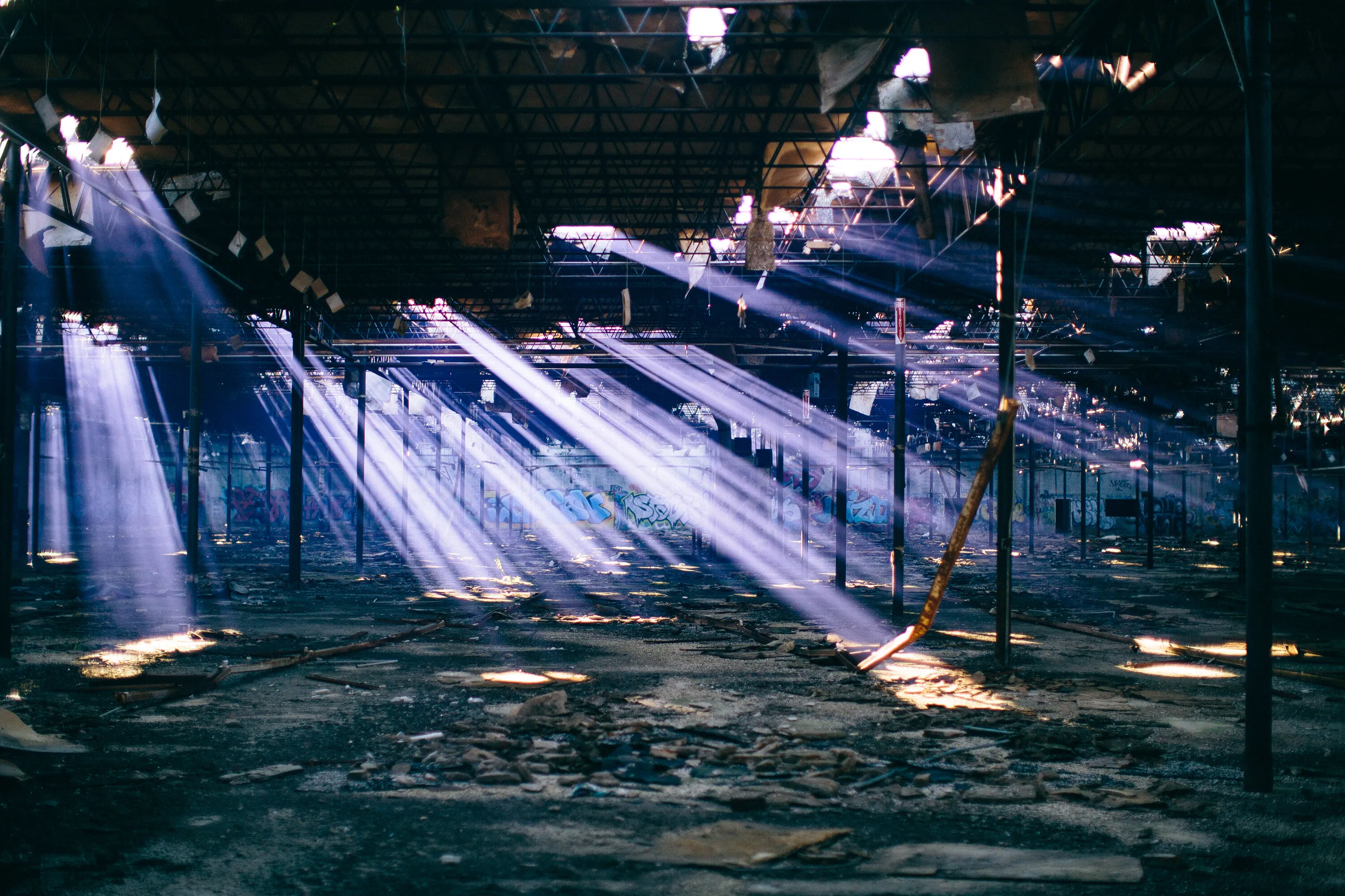Rays