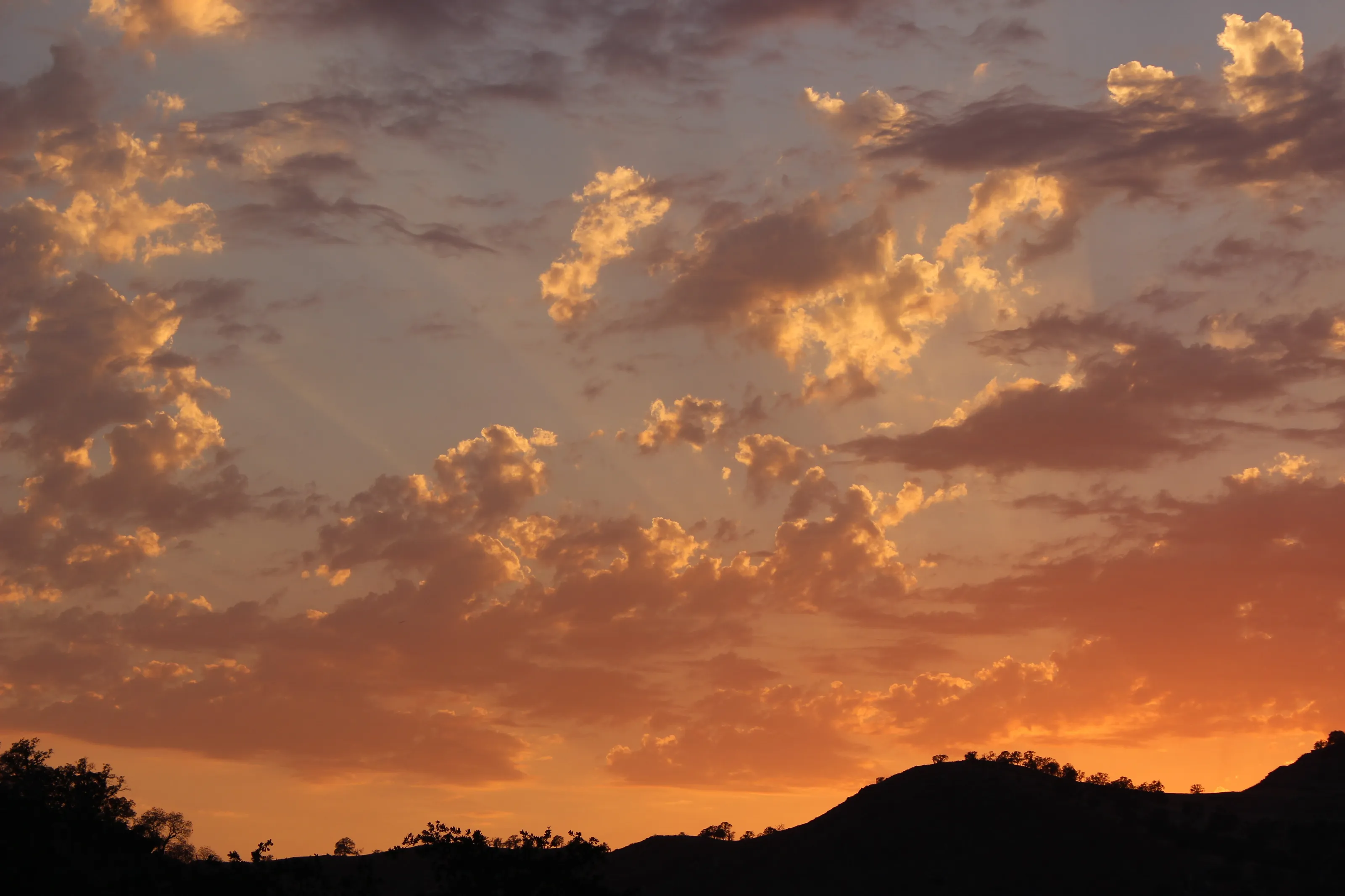 Oh! The Sunset!!