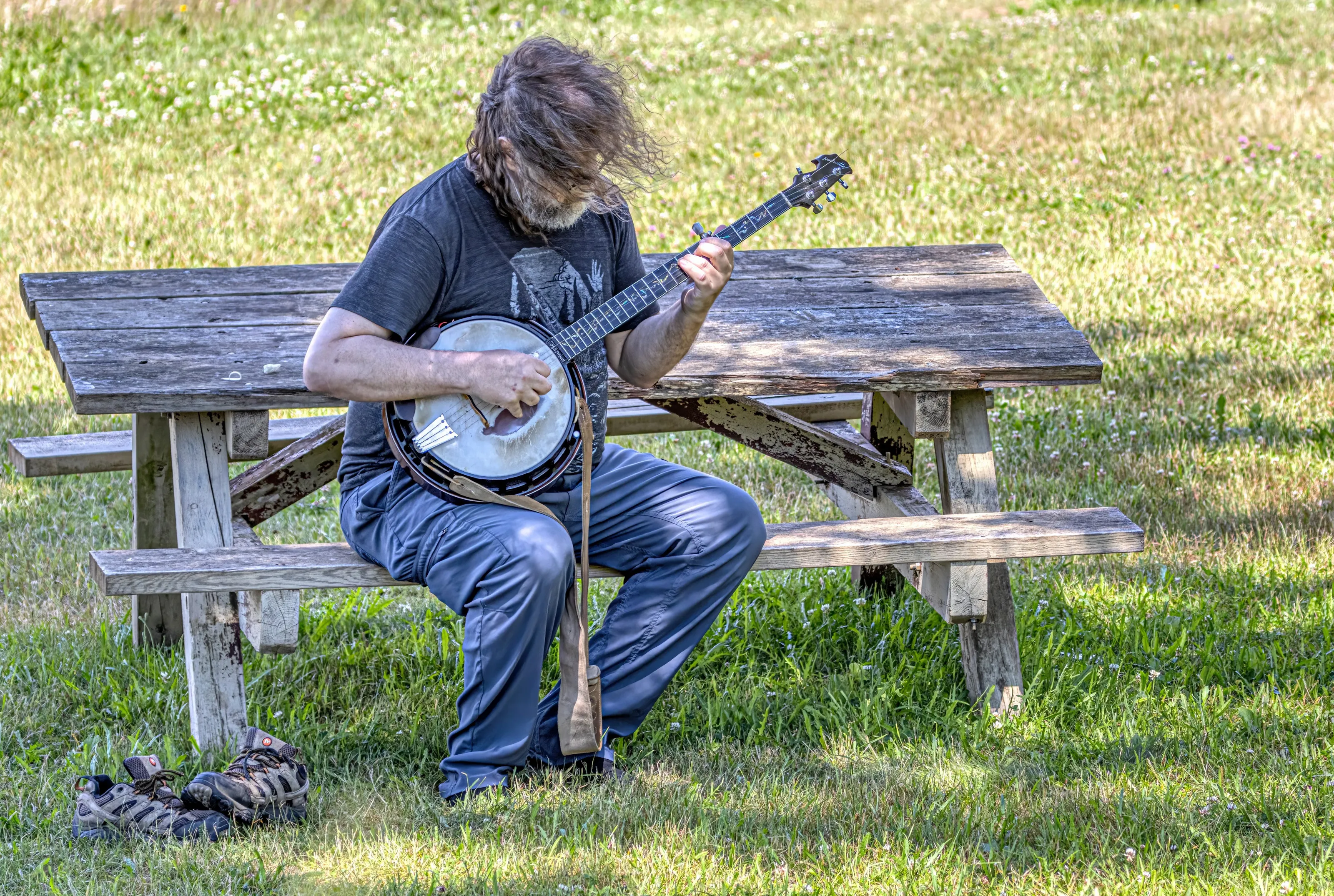 People Playing Banjos and Ukuleles