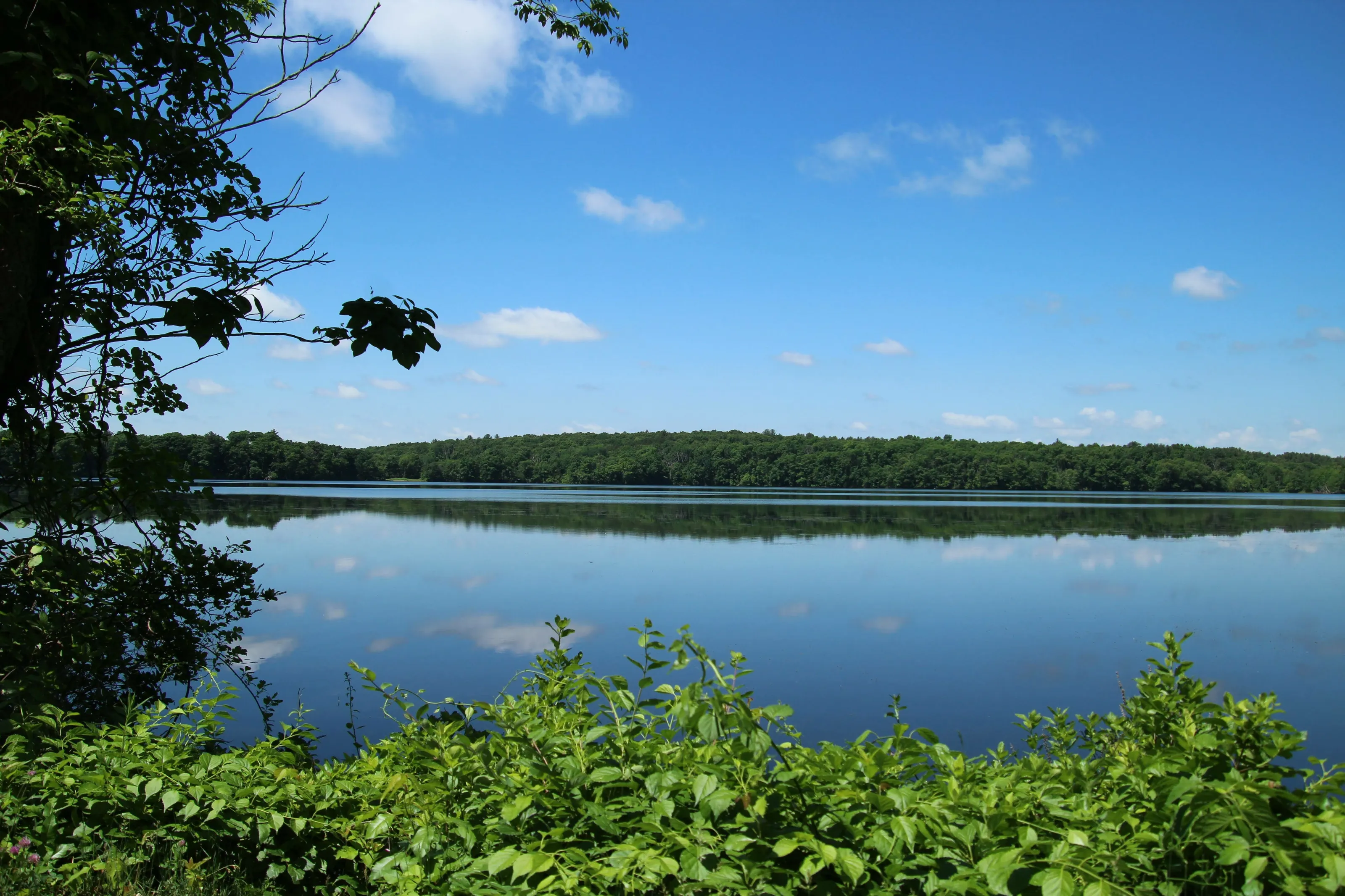 Summer day on the lake