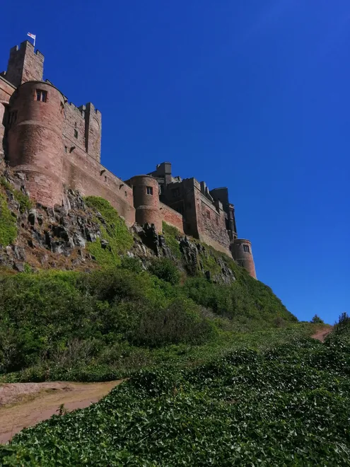 Entry 28929153