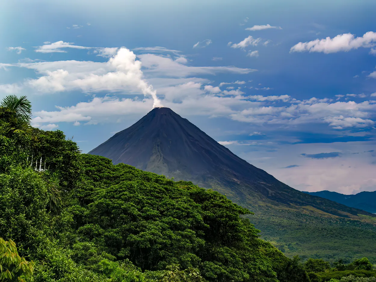 Entry 16770225