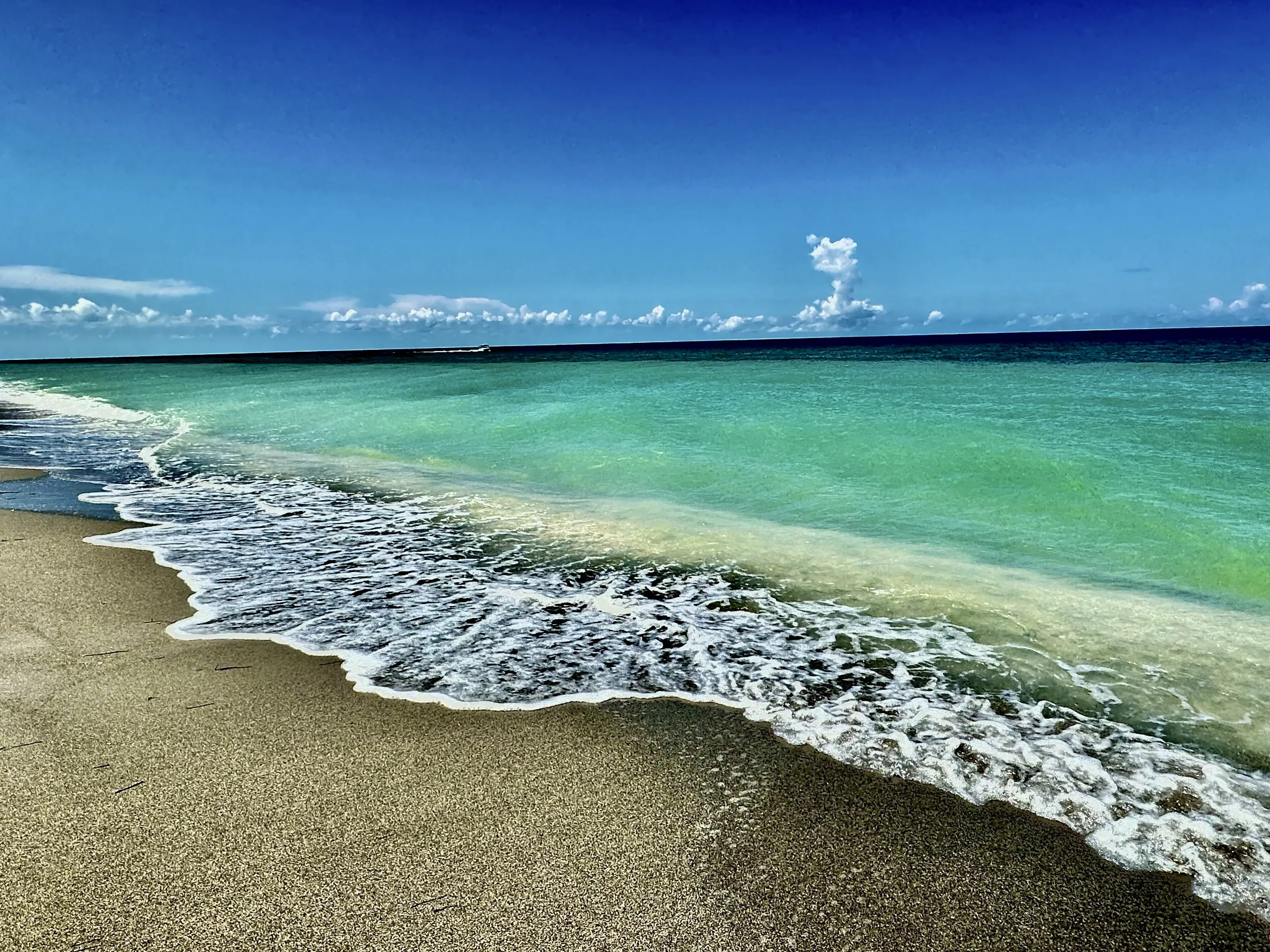 CAPTIVA MORNING