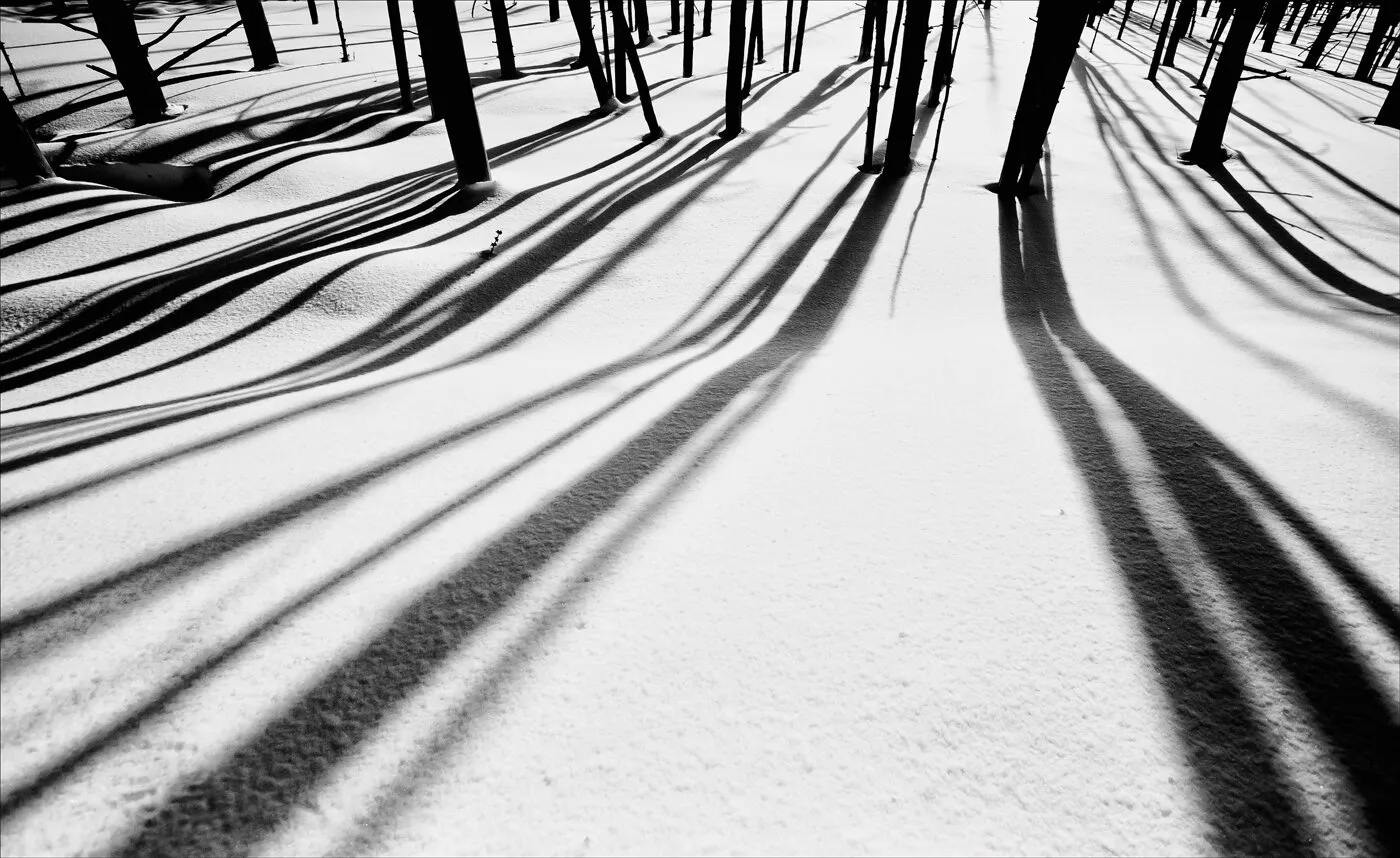 Winter Shadows