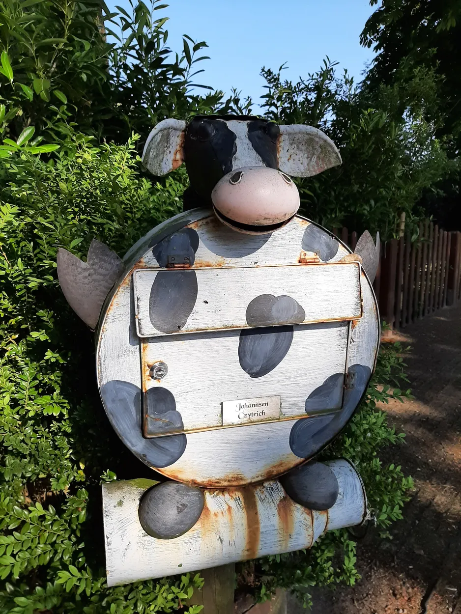 Entry 19834884